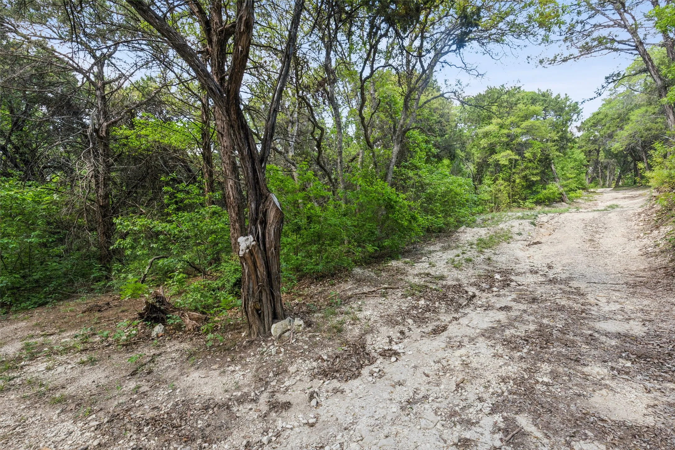 Unimproved Land For Sale in Dallas County , 891 Mobley Road, Cedar Hill, Texas 75104, 0, 0, Garage spaces, 0 Sqft, built in 0, mls#21204866, Real Estate Agent in Cedar Hill, Homes For Sale in Dallas county, Homes For Sale in Cedar Hill, Realtor in Cedar Hill Texas, Real Estate Brokerage Independent Realty Texas, Luminita Cordes Realtor