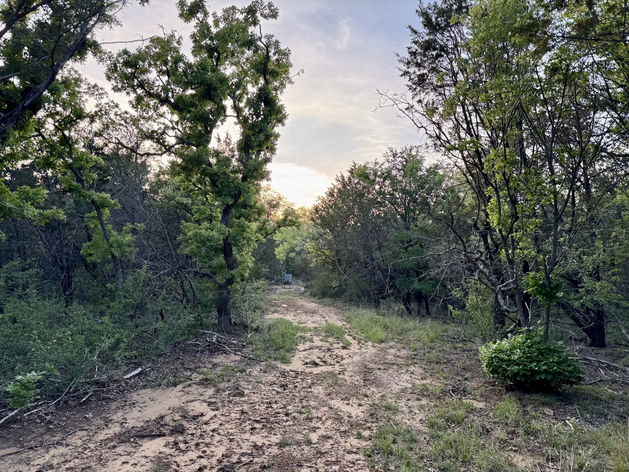 Ranch For Sale in Erath County , 16811 County Road 107, Mingus, Texas 76463, 0, 0, Garage spaces, 0 Sqft, built in 0, mls#21232239, Real Estate Agent in Mingus, Homes For Sale in Erath county, Homes For Sale in Mingus, Realtor in Mingus Texas, Real Estate Brokerage Independent Realty Texas, Luminita Cordes Realtor