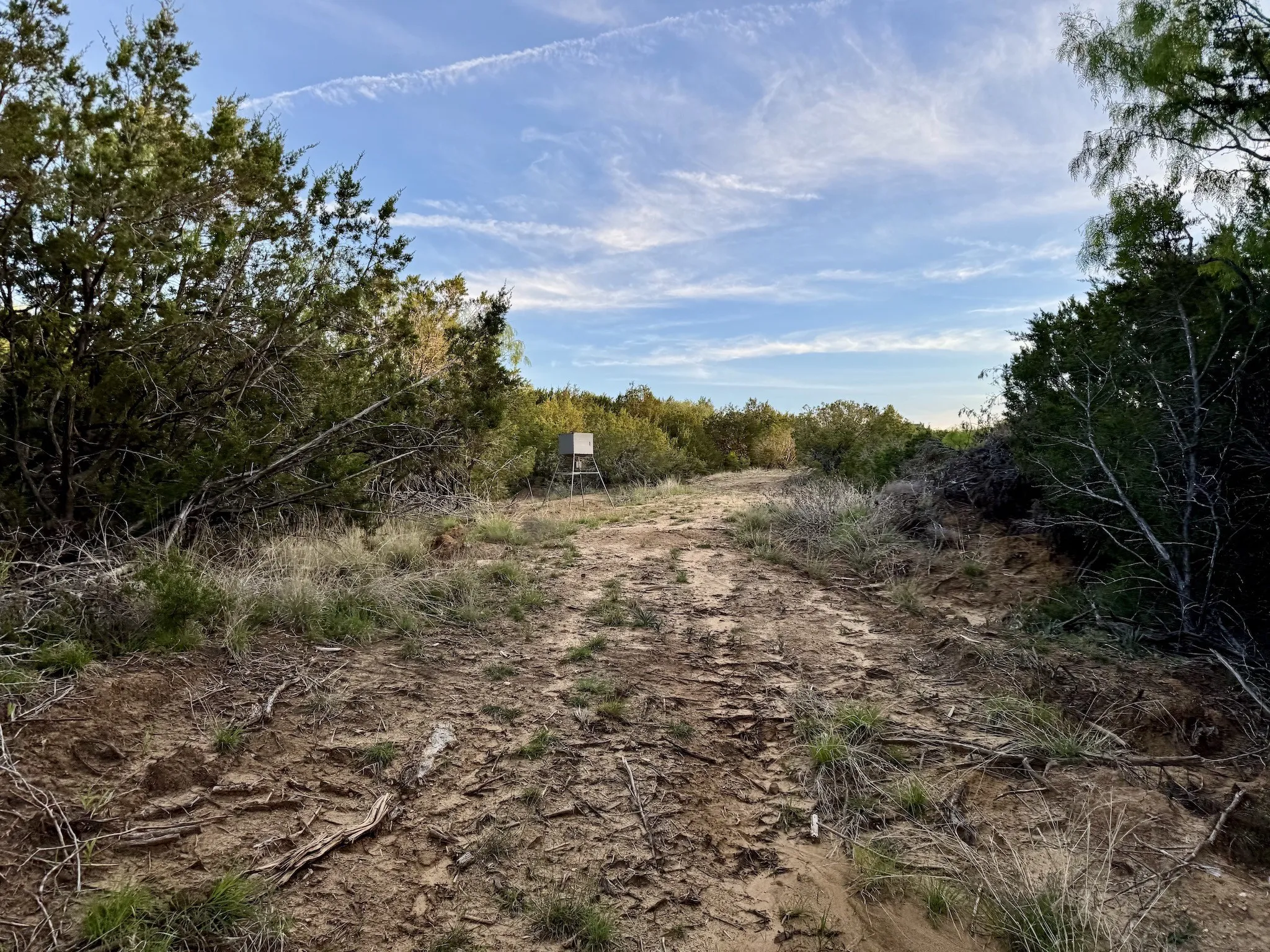 Ranch For Sale in Erath County , 16811 County Road 107, Mingus, Texas 76463, 0, 0, Garage spaces, 0 Sqft, built in 0, mls#21232239, Real Estate Agent in Mingus, Homes For Sale in Erath county, Homes For Sale in Mingus, Realtor in Mingus Texas, Real Estate Brokerage Independent Realty Texas, Luminita Cordes Realtor
