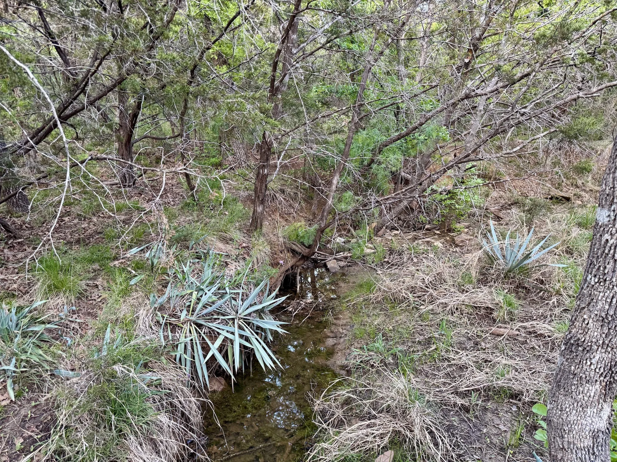 Ranch For Sale in Erath County , 16811 County Road 107, Mingus, Texas 76463, 0, 0, Garage spaces, 0 Sqft, built in 0, mls#21232239, Real Estate Agent in Mingus, Homes For Sale in Erath county, Homes For Sale in Mingus, Realtor in Mingus Texas, Real Estate Brokerage Independent Realty Texas, Luminita Cordes Realtor