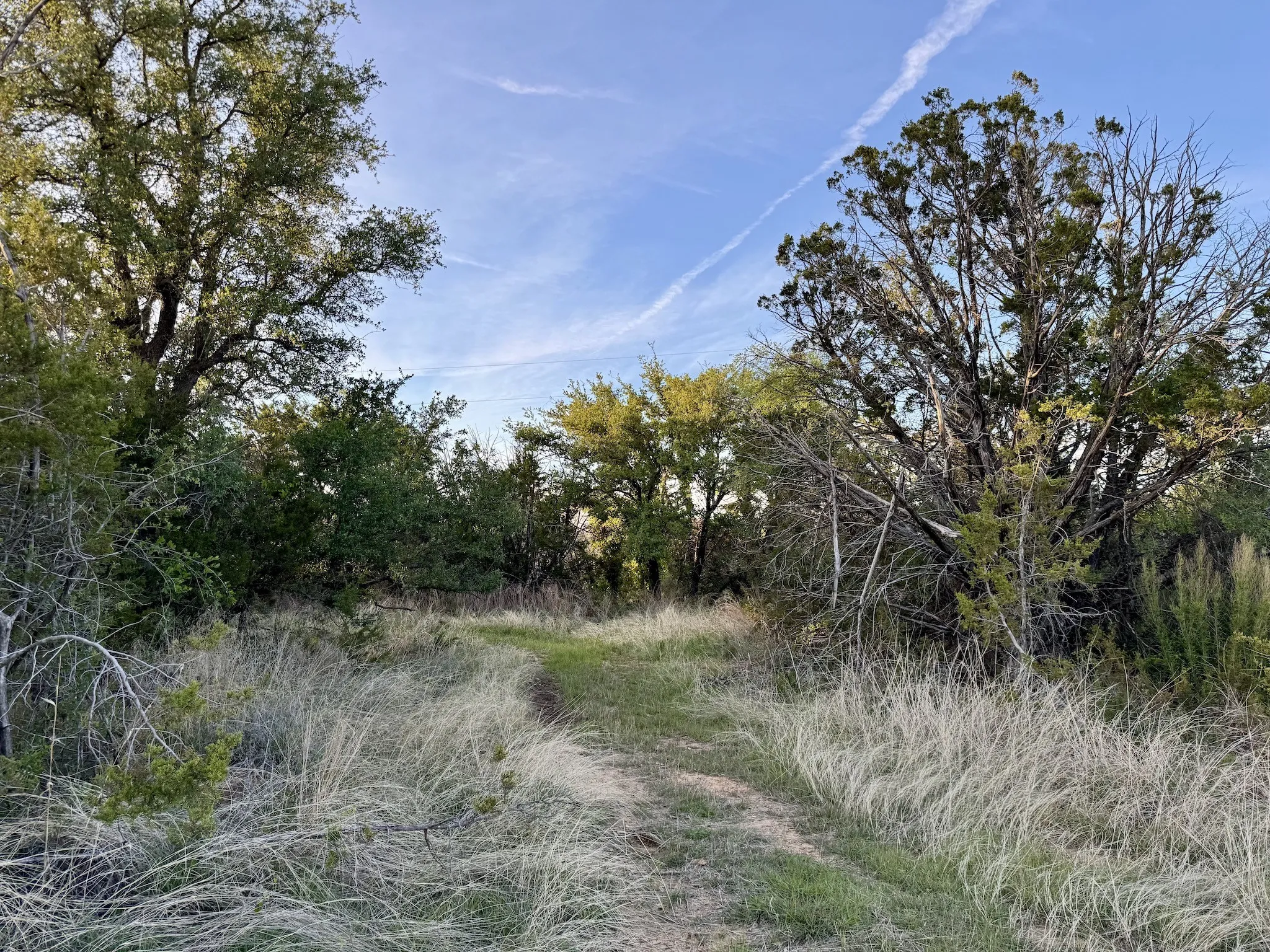 Ranch For Sale in Erath County , 16811 County Road 107, Mingus, Texas 76463, 0, 0, Garage spaces, 0 Sqft, built in 0, mls#21232239, Real Estate Agent in Mingus, Homes For Sale in Erath county, Homes For Sale in Mingus, Realtor in Mingus Texas, Real Estate Brokerage Independent Realty Texas, Luminita Cordes Realtor