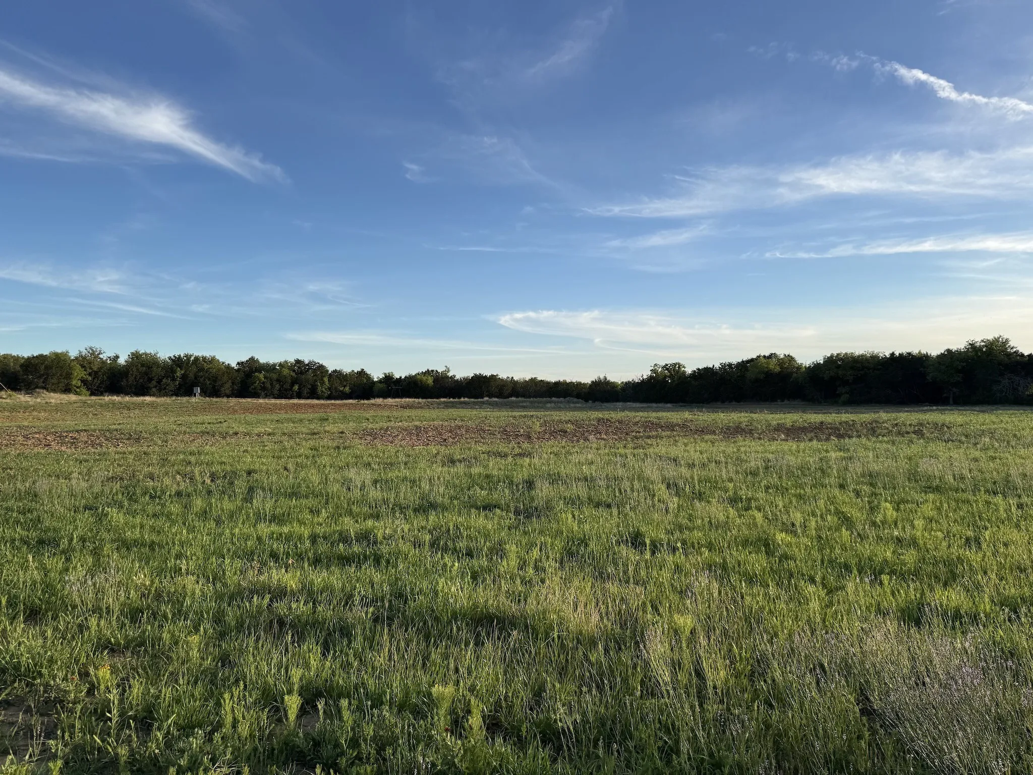 Ranch For Sale in Erath County , 16811 County Road 107, Mingus, Texas 76463, 0, 0, Garage spaces, 0 Sqft, built in 0, mls#21232239, Real Estate Agent in Mingus, Homes For Sale in Erath county, Homes For Sale in Mingus, Realtor in Mingus Texas, Real Estate Brokerage Independent Realty Texas, Luminita Cordes Realtor
