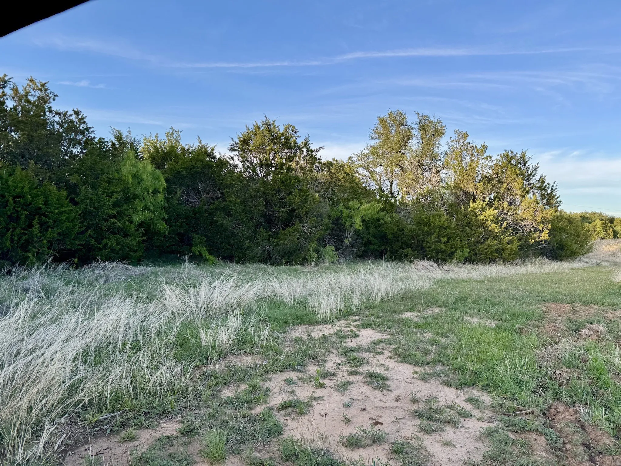 Ranch For Sale in Erath County , 16811 County Road 107, Mingus, Texas 76463, 0, 0, Garage spaces, 0 Sqft, built in 0, mls#21232239, Real Estate Agent in Mingus, Homes For Sale in Erath county, Homes For Sale in Mingus, Realtor in Mingus Texas, Real Estate Brokerage Independent Realty Texas, Luminita Cordes Realtor