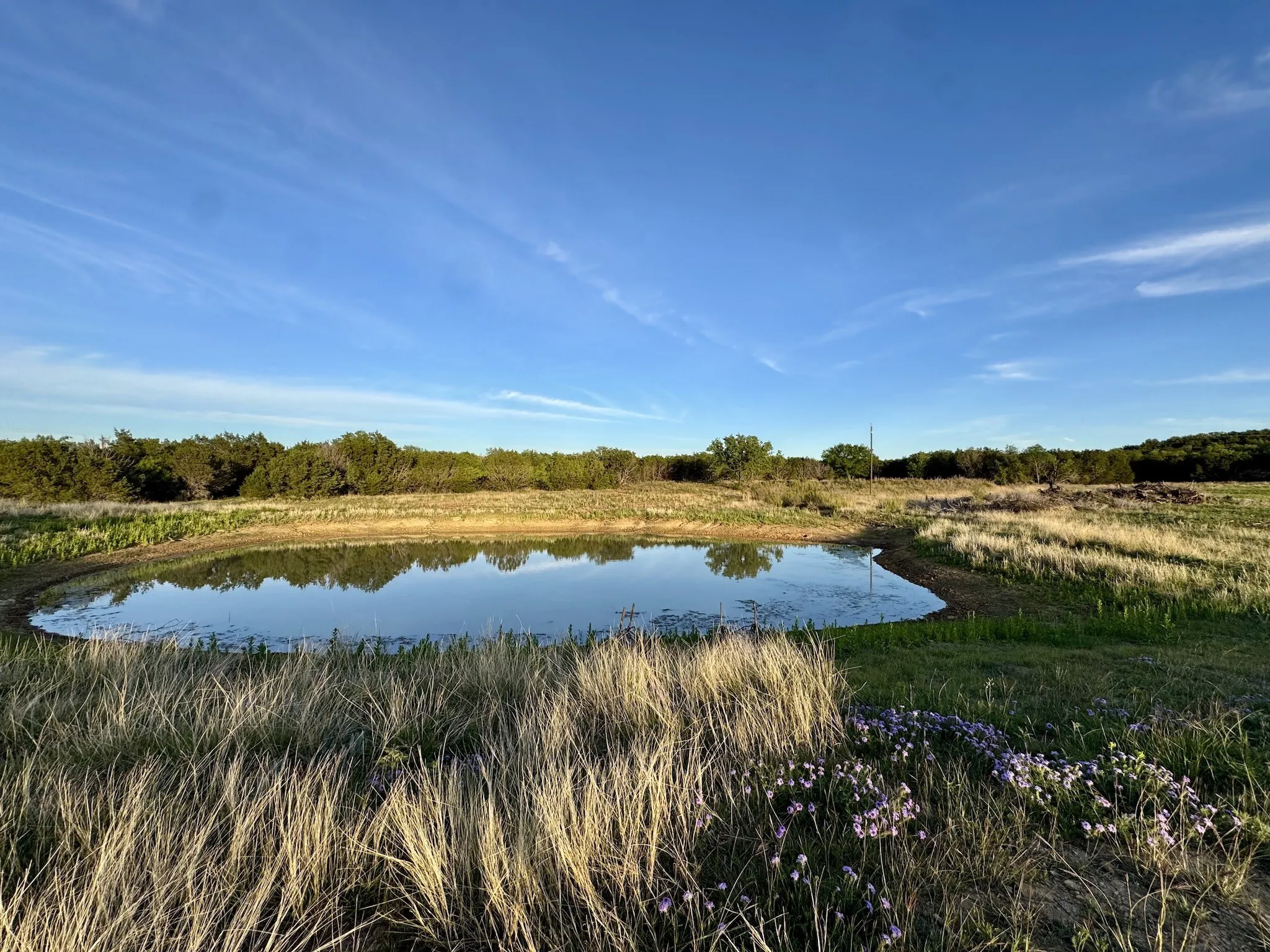 Ranch For Sale in Erath County , 16811 County Road 107, Mingus, Texas 76463, 0, 0, Garage spaces, 0 Sqft, built in 0, mls#21232239, Real Estate Agent in Mingus, Homes For Sale in Erath county, Homes For Sale in Mingus, Realtor in Mingus Texas, Real Estate Brokerage Independent Realty Texas, Luminita Cordes Realtor