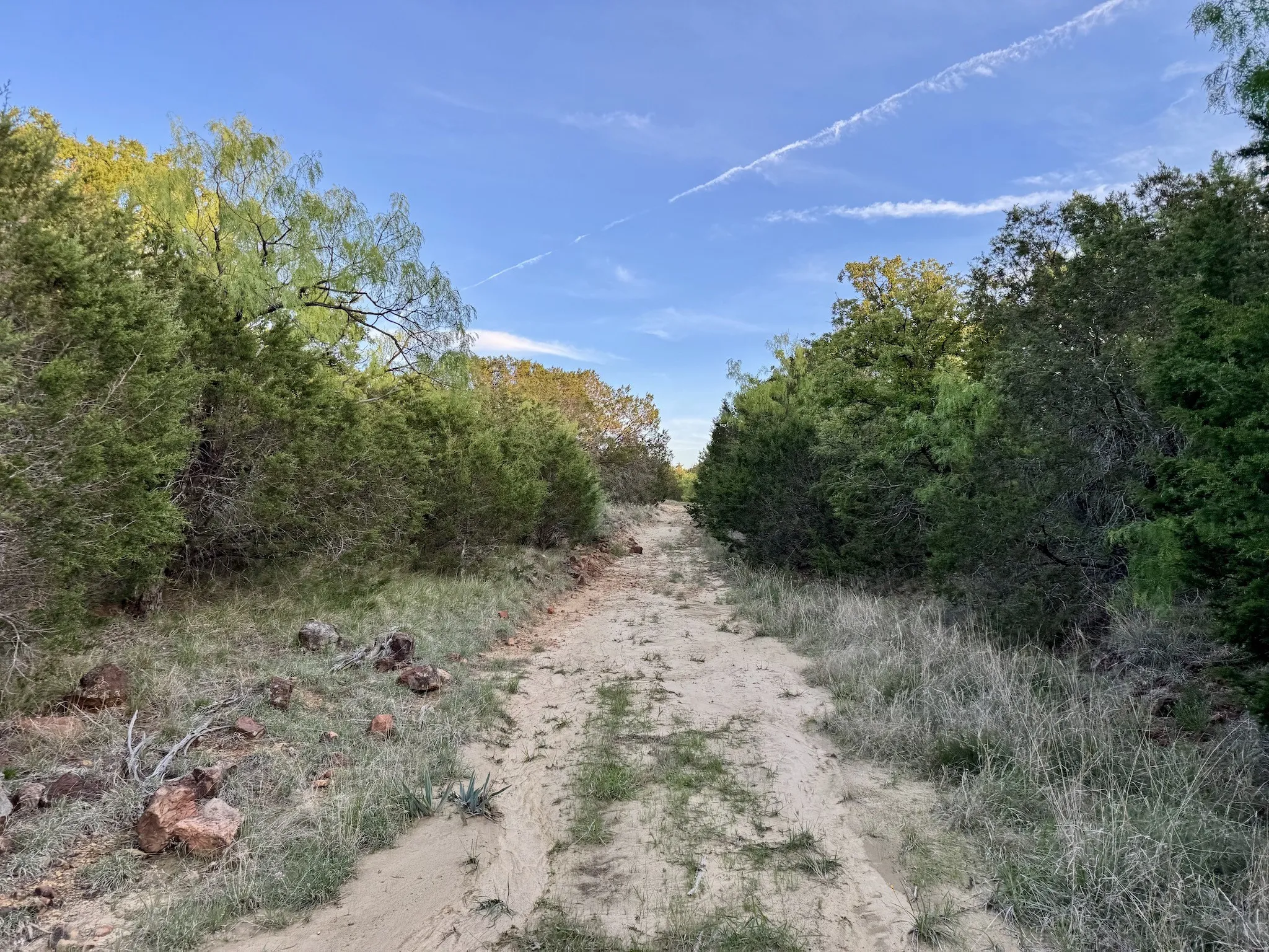 Ranch For Sale in Erath County , 16811 County Road 107, Mingus, Texas 76463, 0, 0, Garage spaces, 0 Sqft, built in 0, mls#21232239, Real Estate Agent in Mingus, Homes For Sale in Erath county, Homes For Sale in Mingus, Realtor in Mingus Texas, Real Estate Brokerage Independent Realty Texas, Luminita Cordes Realtor