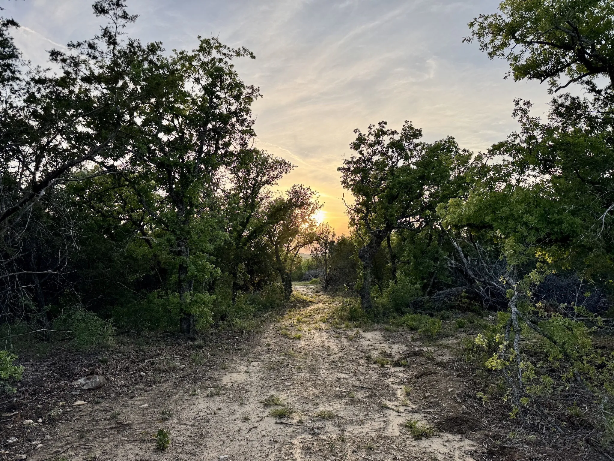 Ranch For Sale in Erath County , 16811 County Road 107, Mingus, Texas 76463, 0, 0, Garage spaces, 0 Sqft, built in 0, mls#21232239, Real Estate Agent in Mingus, Homes For Sale in Erath county, Homes For Sale in Mingus, Realtor in Mingus Texas, Real Estate Brokerage Independent Realty Texas, Luminita Cordes Realtor