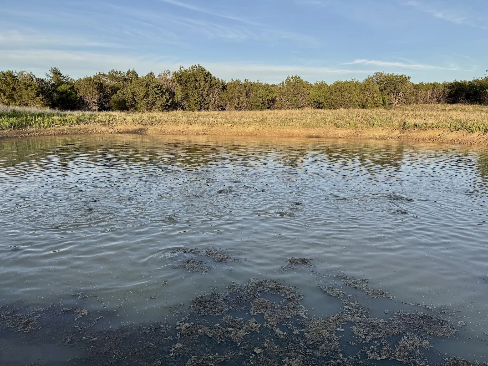 Ranch For Sale in Erath County , 16811 County Road 107, Mingus, Texas 76463, 0, 0, Garage spaces, 0 Sqft, built in 0, mls#21232239, Real Estate Agent in Mingus, Homes For Sale in Erath county, Homes For Sale in Mingus, Realtor in Mingus Texas, Real Estate Brokerage Independent Realty Texas, Luminita Cordes Realtor