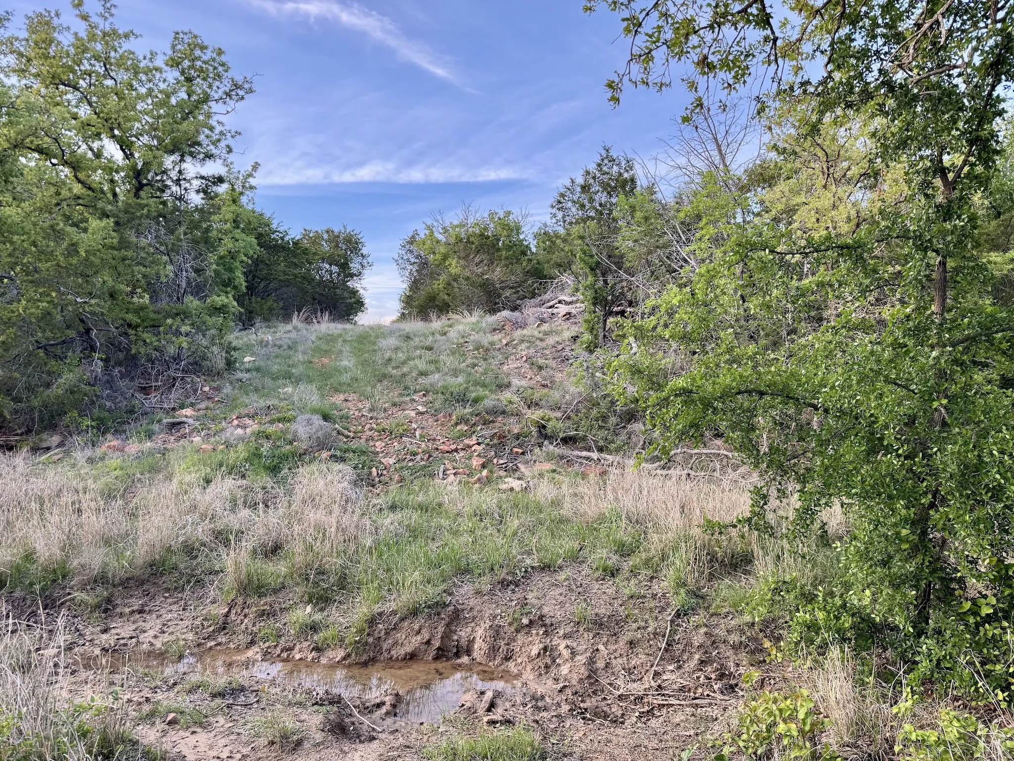 Ranch For Sale in Erath County , 16811 County Road 107, Mingus, Texas 76463, 0, 0, Garage spaces, 0 Sqft, built in 0, mls#21232239, Real Estate Agent in Mingus, Homes For Sale in Erath county, Homes For Sale in Mingus, Realtor in Mingus Texas, Real Estate Brokerage Independent Realty Texas, Luminita Cordes Realtor