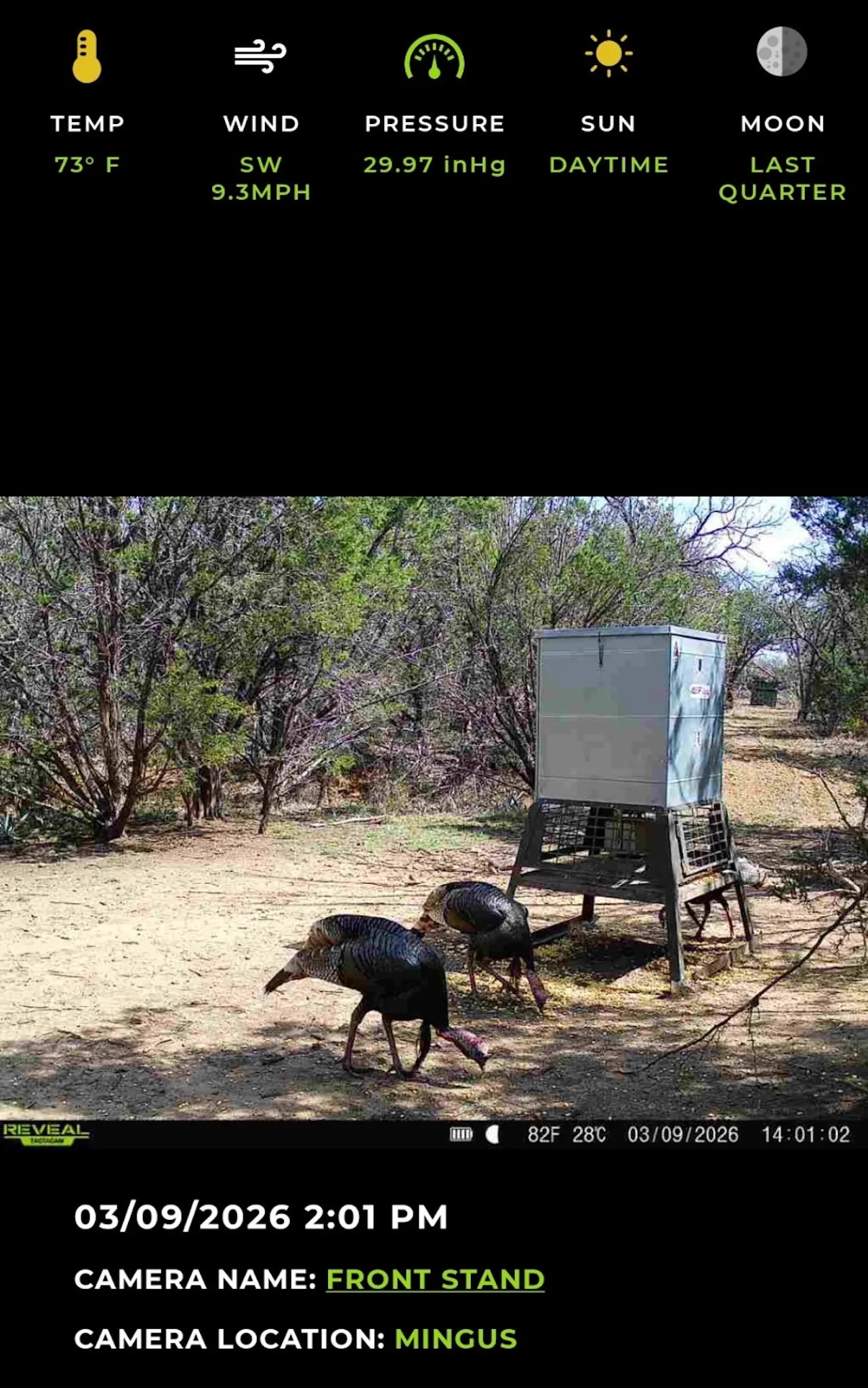 Ranch For Sale in Erath County , 16811 County Road 107, Mingus, Texas 76463, 0, 0, Garage spaces, 0 Sqft, built in 0, mls#21232239, Real Estate Agent in Mingus, Homes For Sale in Erath county, Homes For Sale in Mingus, Realtor in Mingus Texas, Real Estate Brokerage Independent Realty Texas, Luminita Cordes Realtor