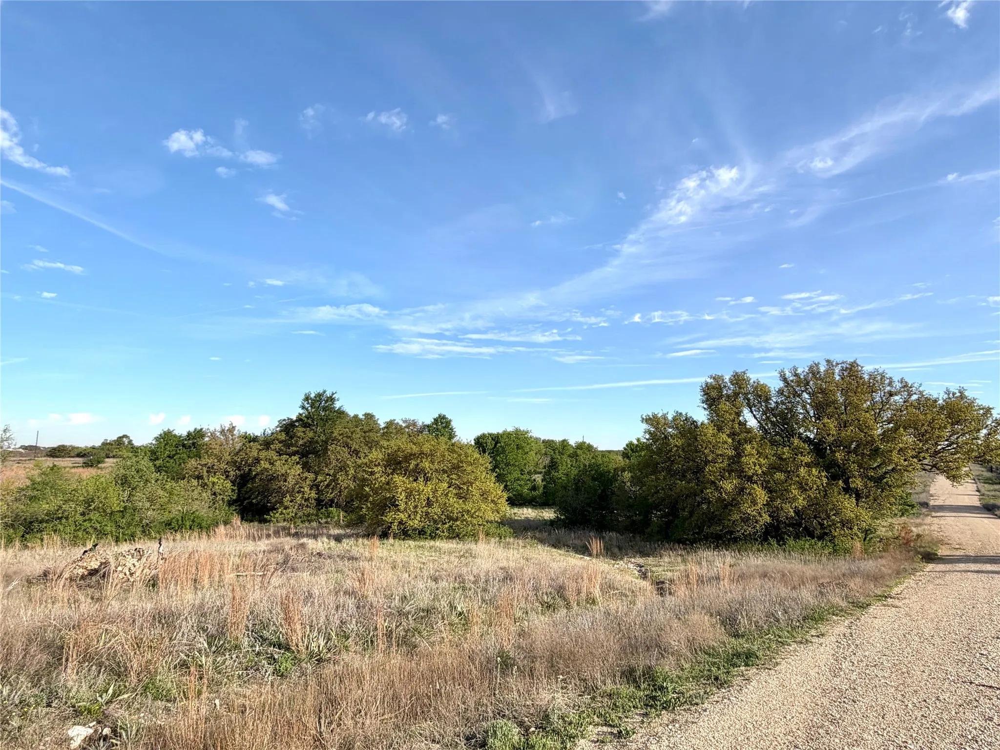 View from the back of the property standing on Mason Court.