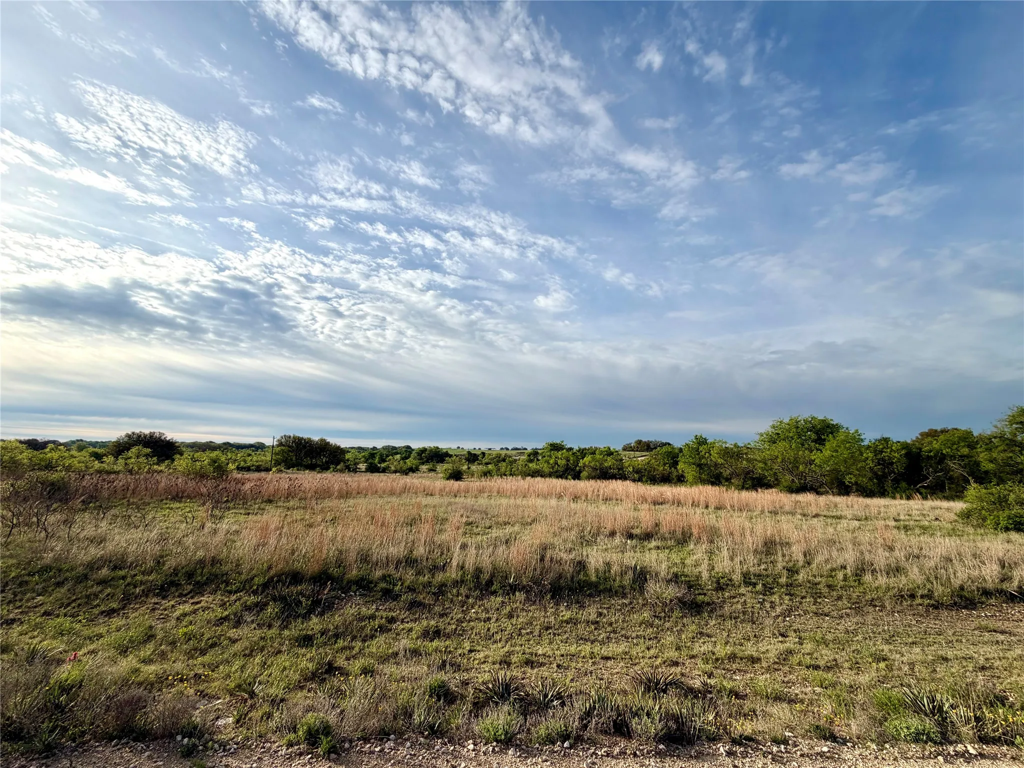 Front street view at the middle of the property.