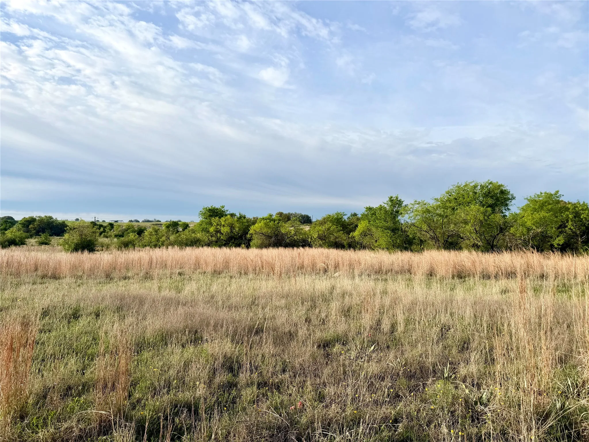 Unimproved Land For Sale in Comanche County , TBD Augustus Lane, Dublin, Texas 76446, 0, 0, Garage spaces, 0 Sqft, built in 0, mls#21230914, Real Estate Agent in Dublin, Homes For Sale in Comanche county, Homes For Sale in Dublin, Realtor in Dublin Texas, Real Estate Brokerage Independent Realty Texas, Luminita Cordes Realtor