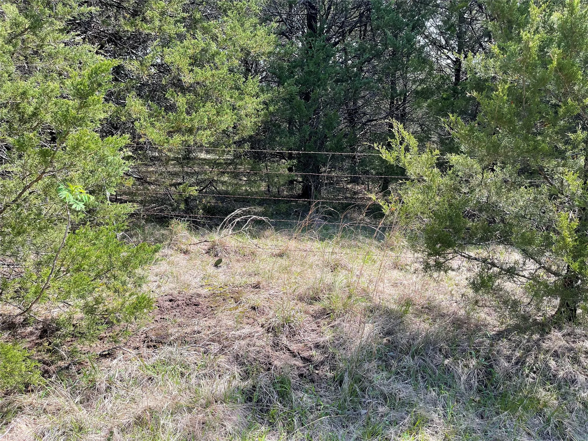East boundary fence. South boundary is also fenced.