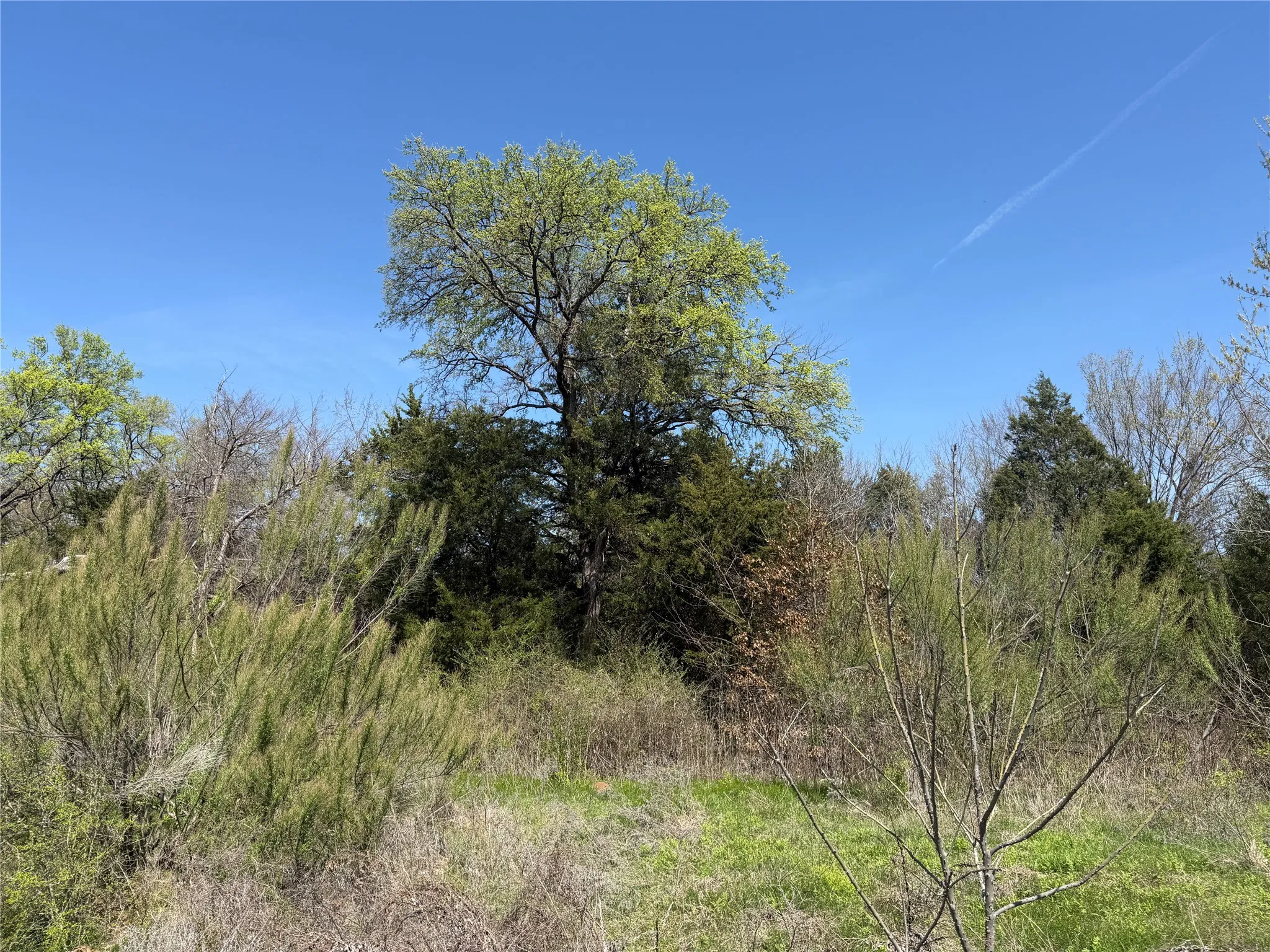 Unimproved Land For Sale in Tarrant County , 497 House Road, Mansfield, Texas 76063, 0, 0, Garage spaces, 0 Sqft, built in 0, Price $449,900, mls#21226531, Real Estate Agent in Mansfield, Homes For Sale in Tarrant county, Homes For Sale in Mansfield, Realtor in Mansfield Texas, Real Estate Brokerage Independent Realty Texas, Luminita Cordes Realtor
