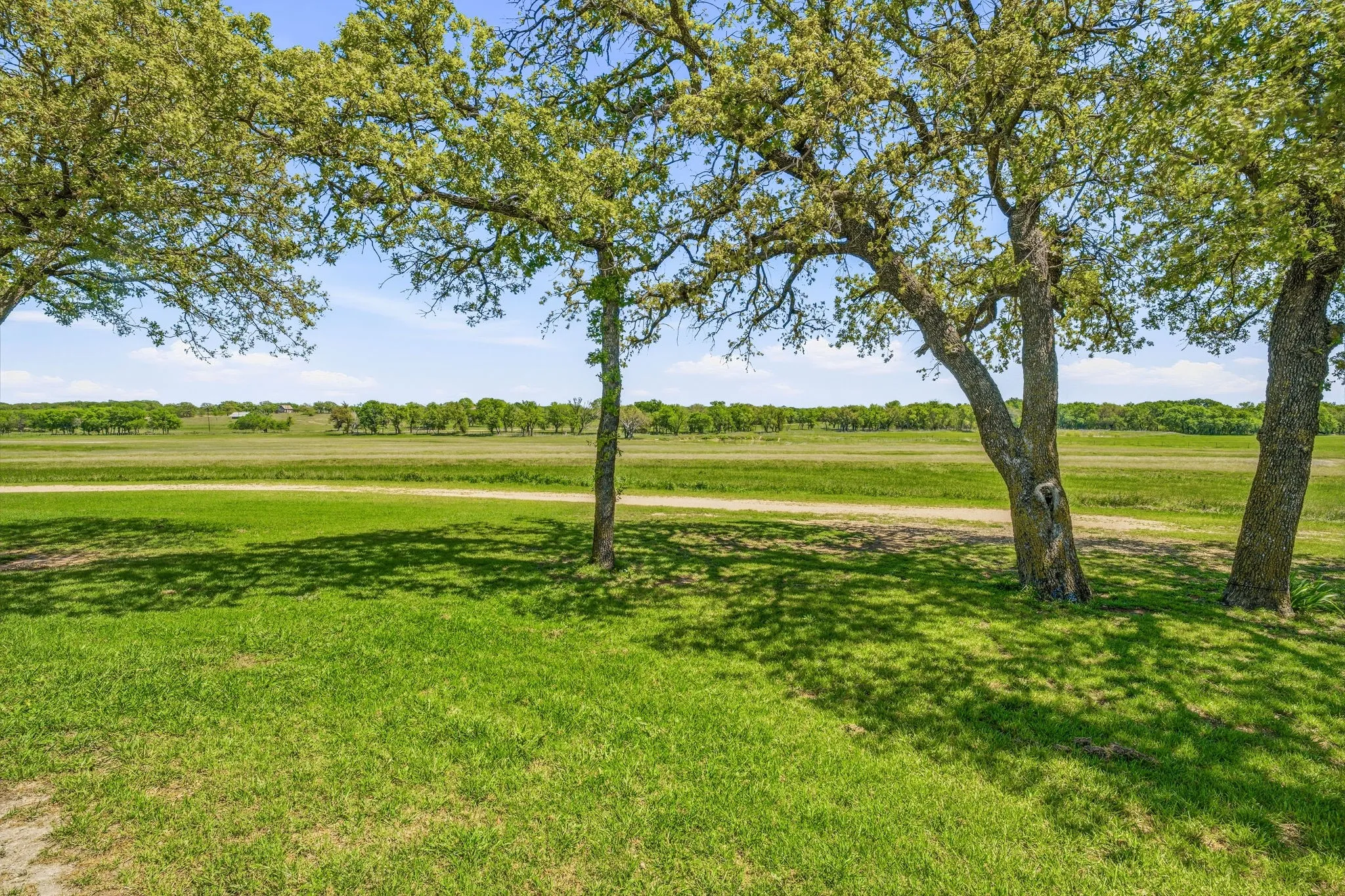 Farm For Sale in Erath County , 802 Private Road 1675, Stephenville, Texas 76401, 3 Bedroom, 2 Bathroom, Garage spaces, 2,223 Sqft, built in 2002, mls#21232356, Real Estate Agent in Stephenville, Homes For Sale in Erath county, Homes For Sale in Stephenville, Realtor in Stephenville Texas, Real Estate Brokerage Independent Realty Texas, Luminita Cordes Realtor