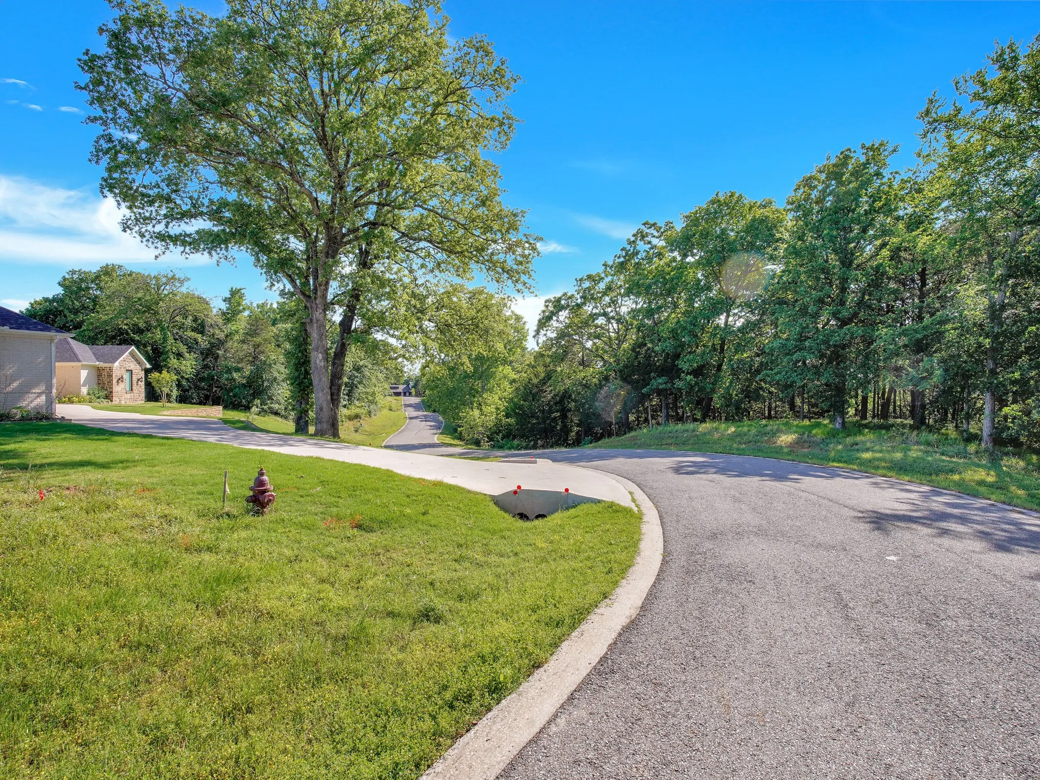 View of asphalt street with view of wooded area