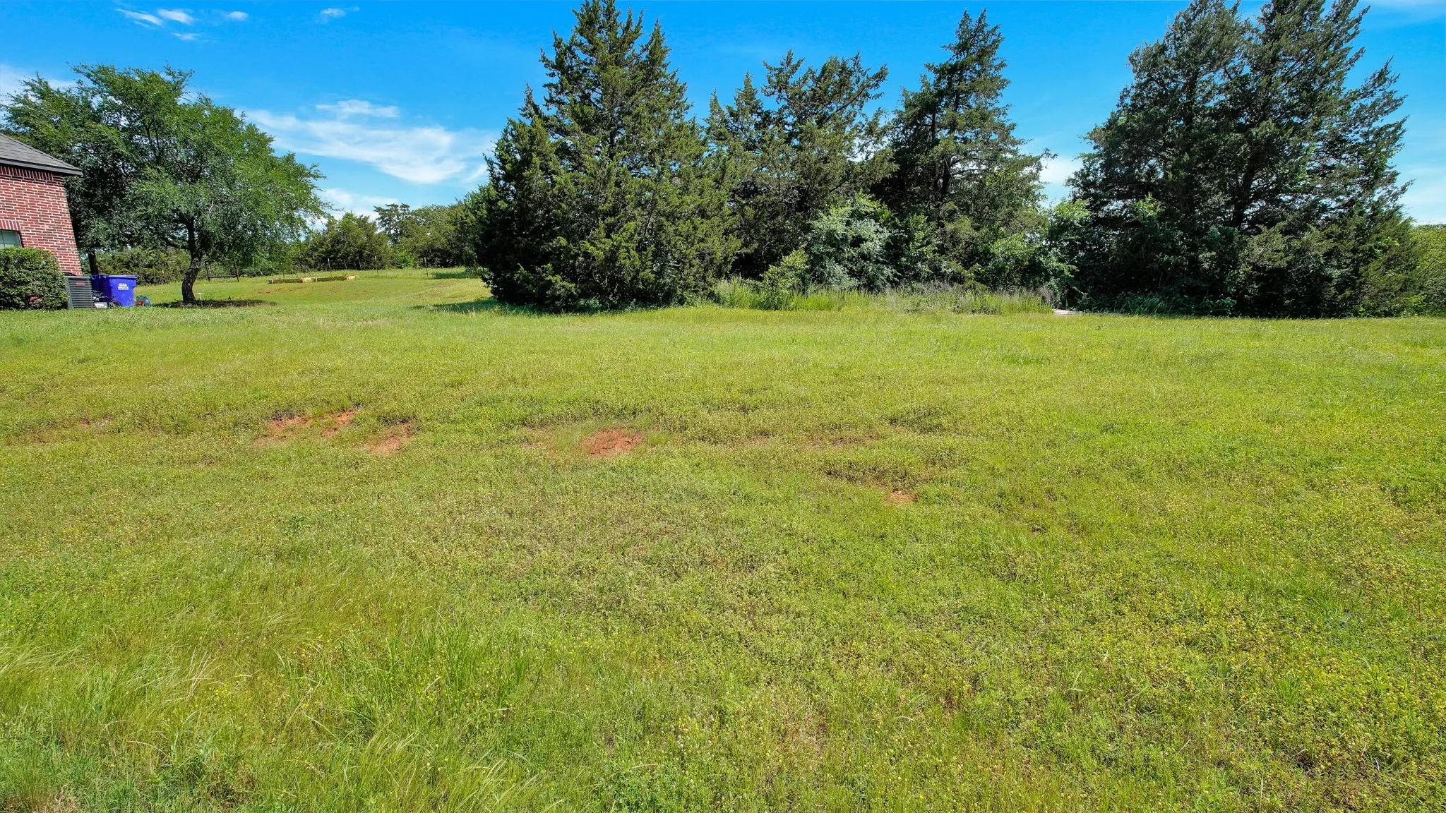 View of grassy yard