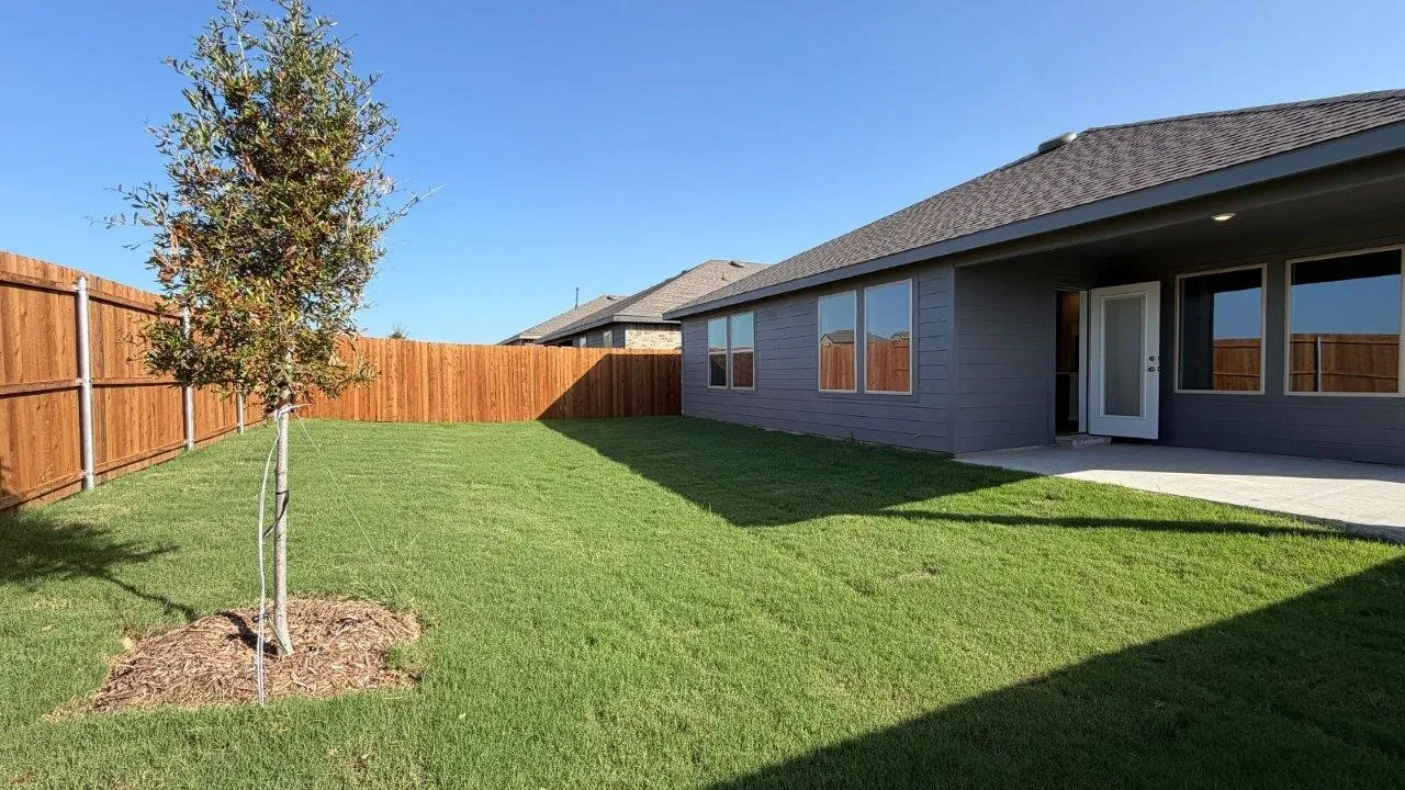 Spacious backyard featuring a newly seeded lawn, mature landscaping with ornamental tree, and wooden perimeter fencing