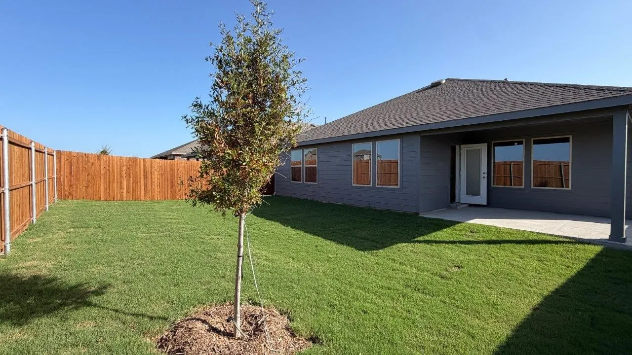 Spacious backyard with a vibrant green lawn, featuring a young tree and a privacy fence