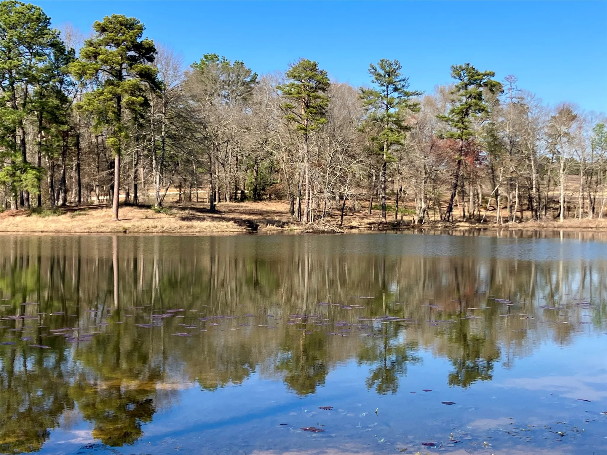 Unimproved Land For Sale in Upshur County , Lot 64 White Oak Creek Ranch, Big Sandy, Texas 75755, 0, 0, Garage spaces, 0 Sqft, built in 0, mls#21232688, Real Estate Agent in Big Sandy, Homes For Sale in Upshur county, Homes For Sale in Big Sandy, Realtor in Big Sandy Texas, Real Estate Brokerage Independent Realty Texas, Luminita Cordes Realtor