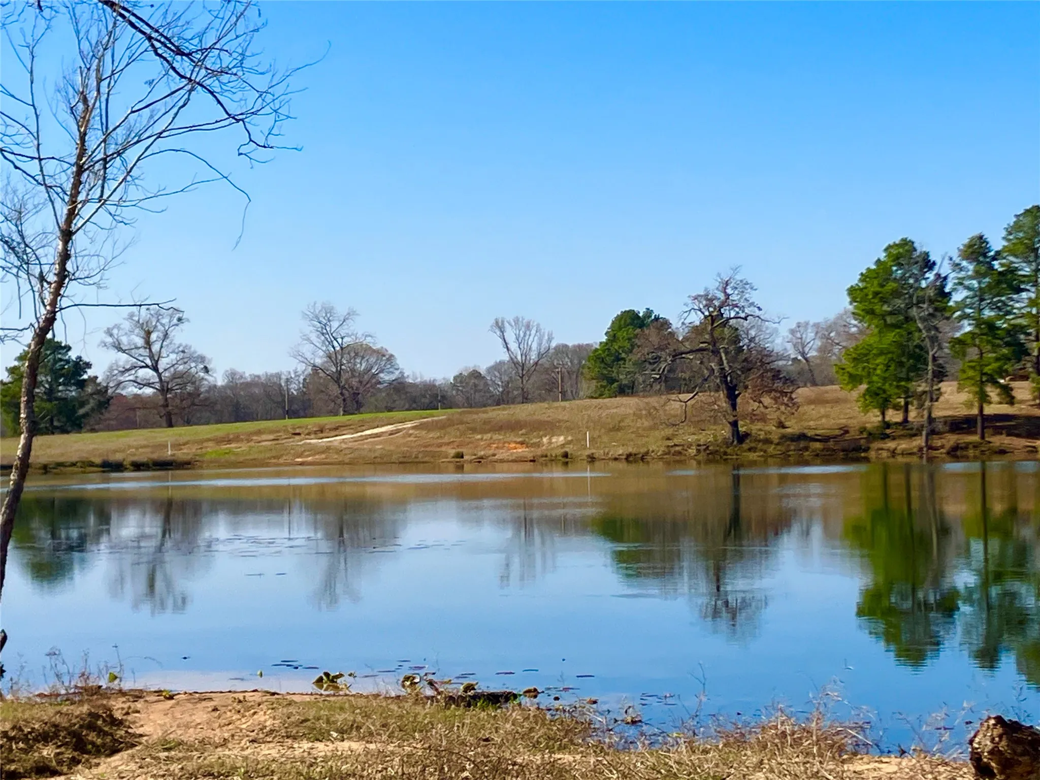 Unimproved Land For Sale in Upshur County , Lot 64 White Oak Creek Ranch, Big Sandy, Texas 75755, 0, 0, Garage spaces, 0 Sqft, built in 0, mls#21232688, Real Estate Agent in Big Sandy, Homes For Sale in Upshur county, Homes For Sale in Big Sandy, Realtor in Big Sandy Texas, Real Estate Brokerage Independent Realty Texas, Luminita Cordes Realtor