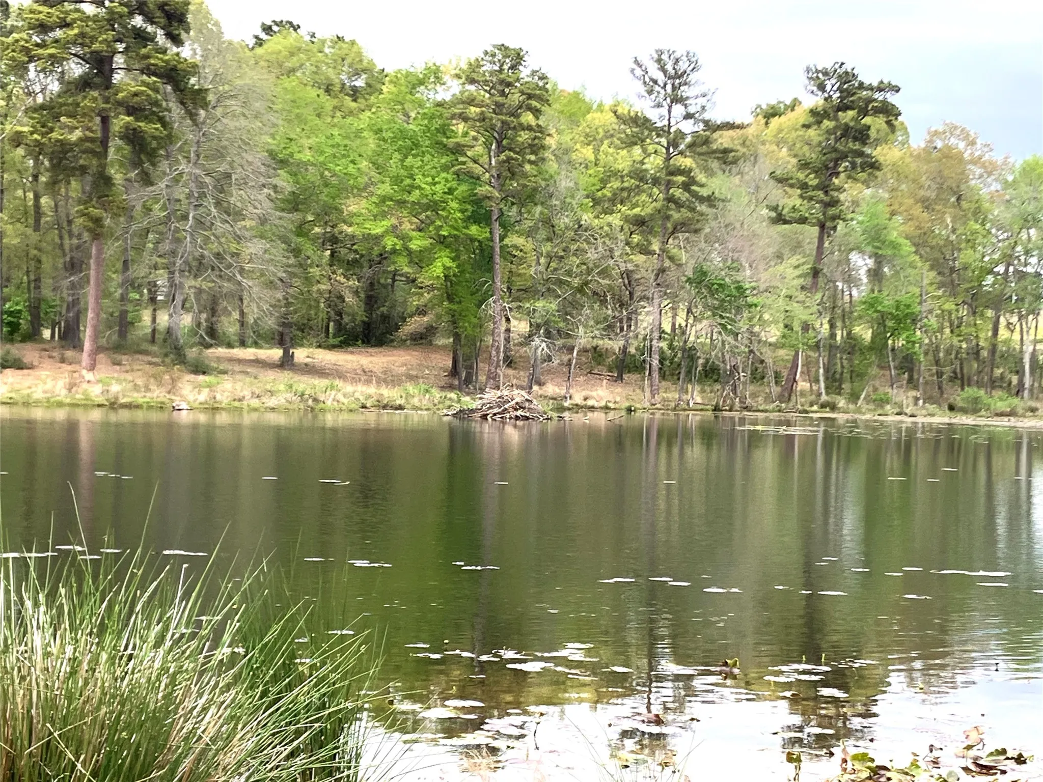 Unimproved Land For Sale in Upshur County , Lot 64 White Oak Creek Ranch, Big Sandy, Texas 75755, 0, 0, Garage spaces, 0 Sqft, built in 0, mls#21232688, Real Estate Agent in Big Sandy, Homes For Sale in Upshur county, Homes For Sale in Big Sandy, Realtor in Big Sandy Texas, Real Estate Brokerage Independent Realty Texas, Luminita Cordes Realtor