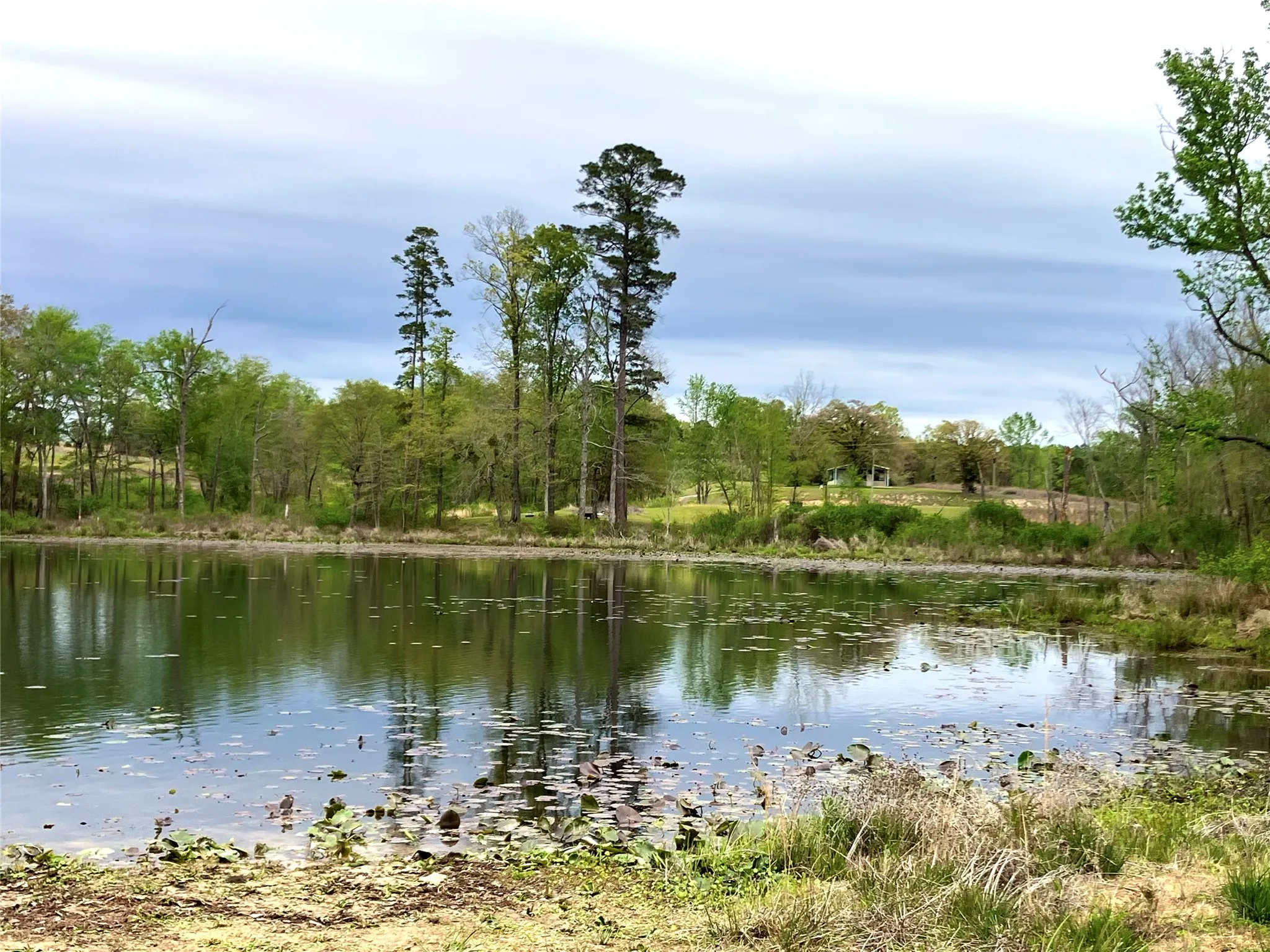 Unimproved Land For Sale in Upshur County , Lot 64 White Oak Creek Ranch, Big Sandy, Texas 75755, 0, 0, Garage spaces, 0 Sqft, built in 0, mls#21232688, Real Estate Agent in Big Sandy, Homes For Sale in Upshur county, Homes For Sale in Big Sandy, Realtor in Big Sandy Texas, Real Estate Brokerage Independent Realty Texas, Luminita Cordes Realtor