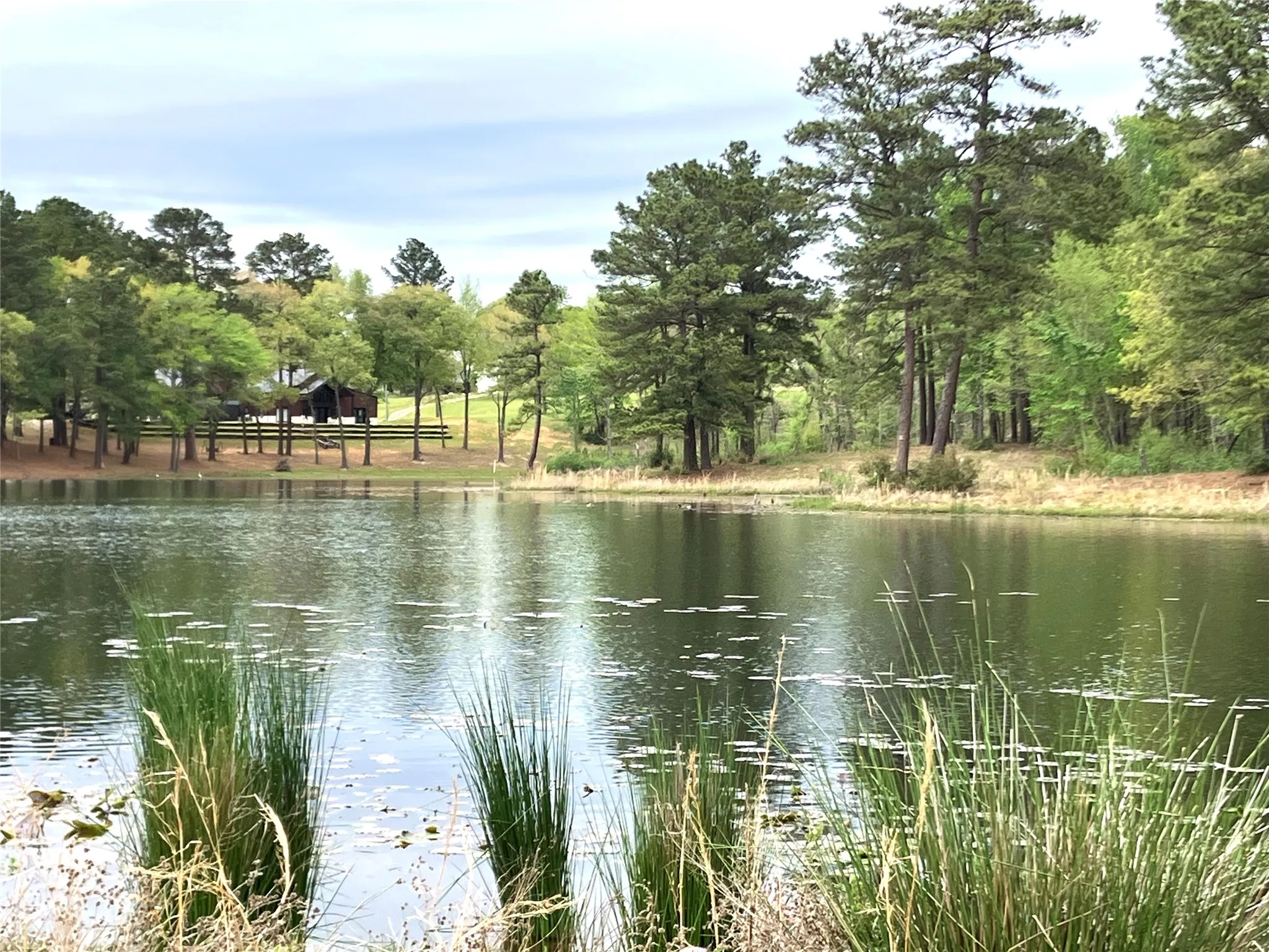 Unimproved Land For Sale in Upshur County , Lot 64 White Oak Creek Ranch, Big Sandy, Texas 75755, 0, 0, Garage spaces, 0 Sqft, built in 0, mls#21232688, Real Estate Agent in Big Sandy, Homes For Sale in Upshur county, Homes For Sale in Big Sandy, Realtor in Big Sandy Texas, Real Estate Brokerage Independent Realty Texas, Luminita Cordes Realtor