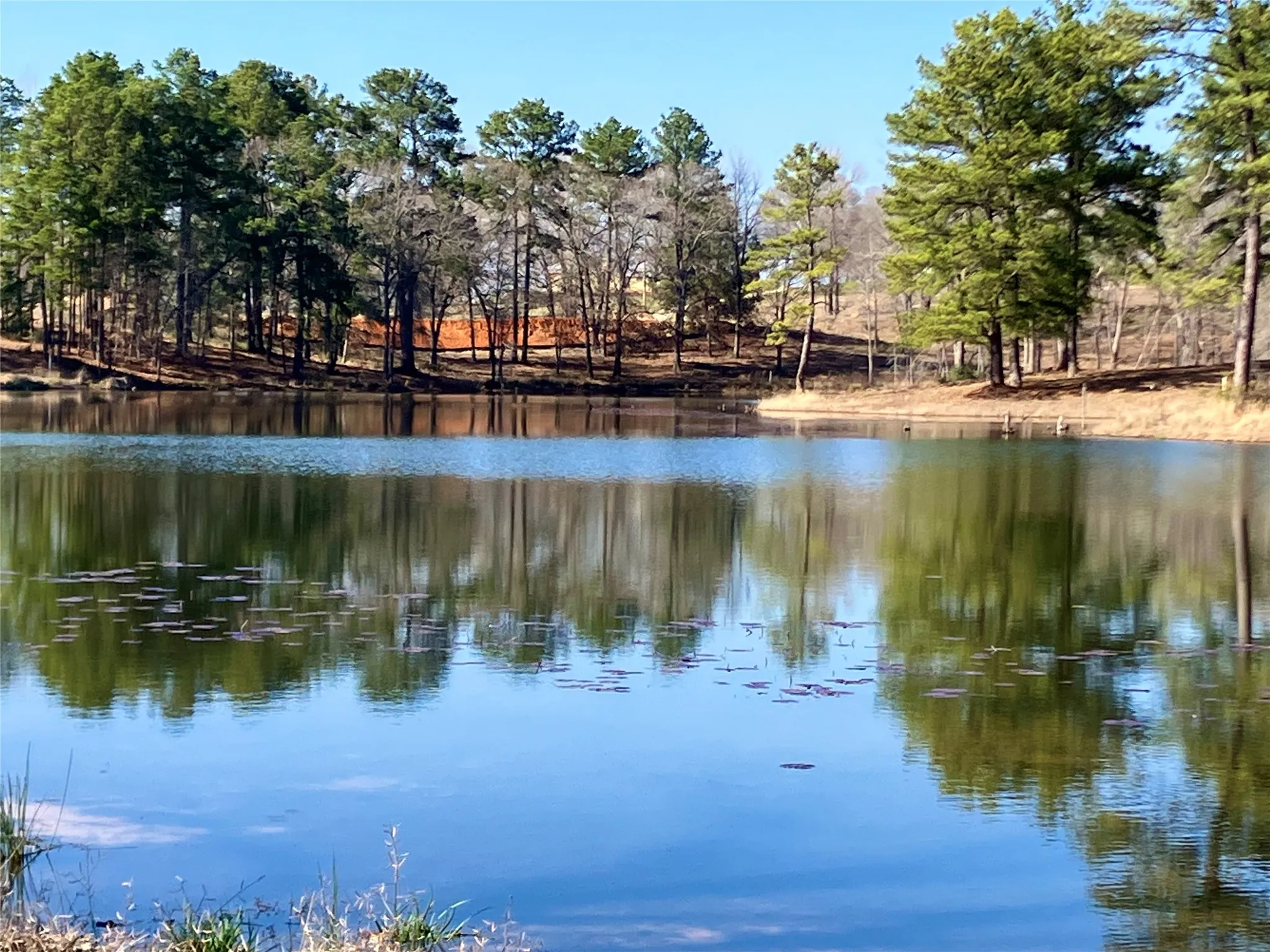 Unimproved Land For Sale in Upshur County , Lot 64 White Oak Creek Ranch, Big Sandy, Texas 75755, 0, 0, Garage spaces, 0 Sqft, built in 0, mls#21232688, Real Estate Agent in Big Sandy, Homes For Sale in Upshur county, Homes For Sale in Big Sandy, Realtor in Big Sandy Texas, Real Estate Brokerage Independent Realty Texas, Luminita Cordes Realtor