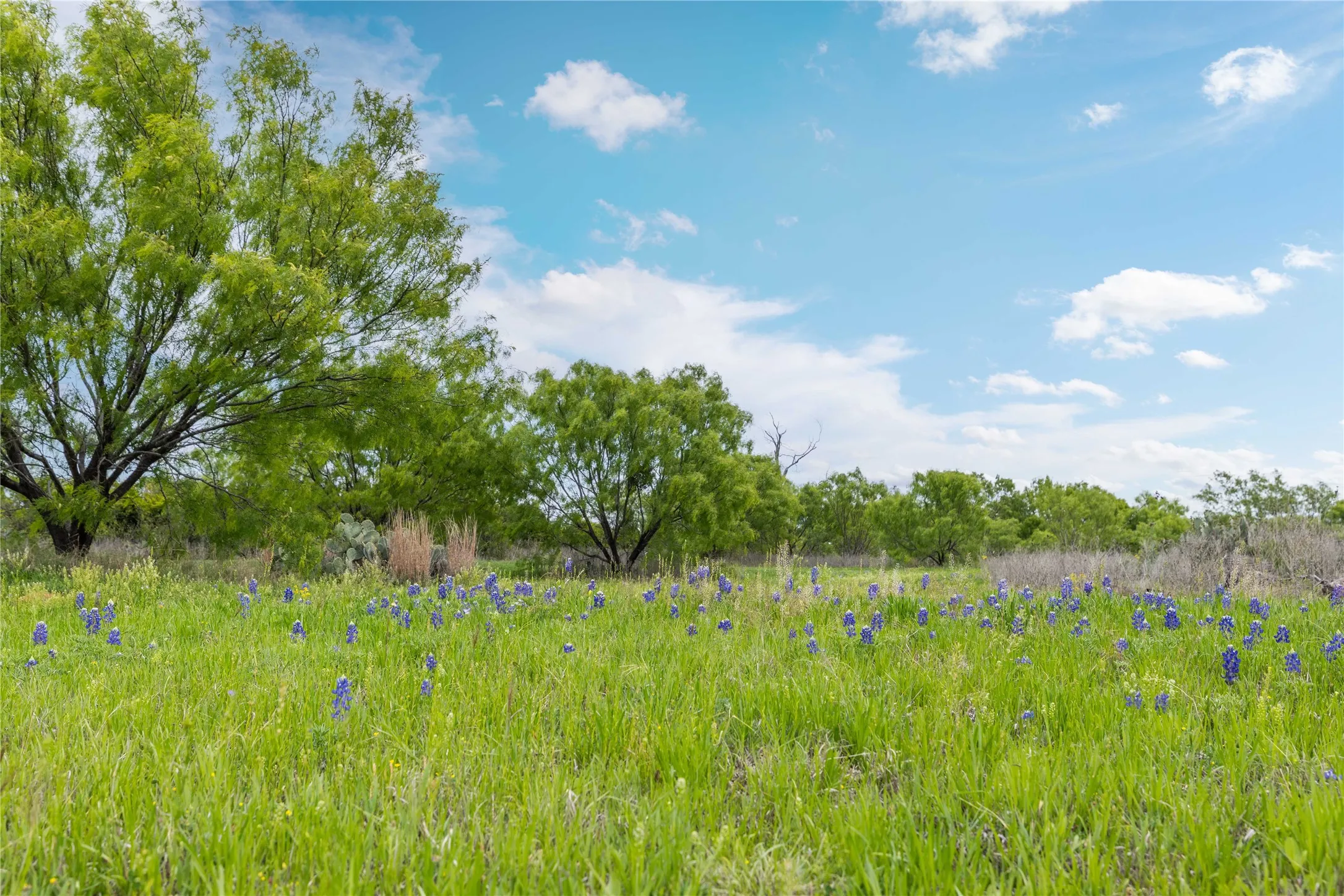 Single Family Residence For Sale in Brown County , 10150 HWY 67, Bangs, Texas 76823, 2 Bedroom, 2 Bathroom, 2 Garage spaces, 2,000 Sqft, built in 2024, Preowned, mls#21232679, Real Estate Agent in Bangs, Homes For Sale in Brown county, Homes For Sale in Bangs, Realtor in Bangs Texas, Real Estate Brokerage Independent Realty Texas, Luminita Cordes Realtor