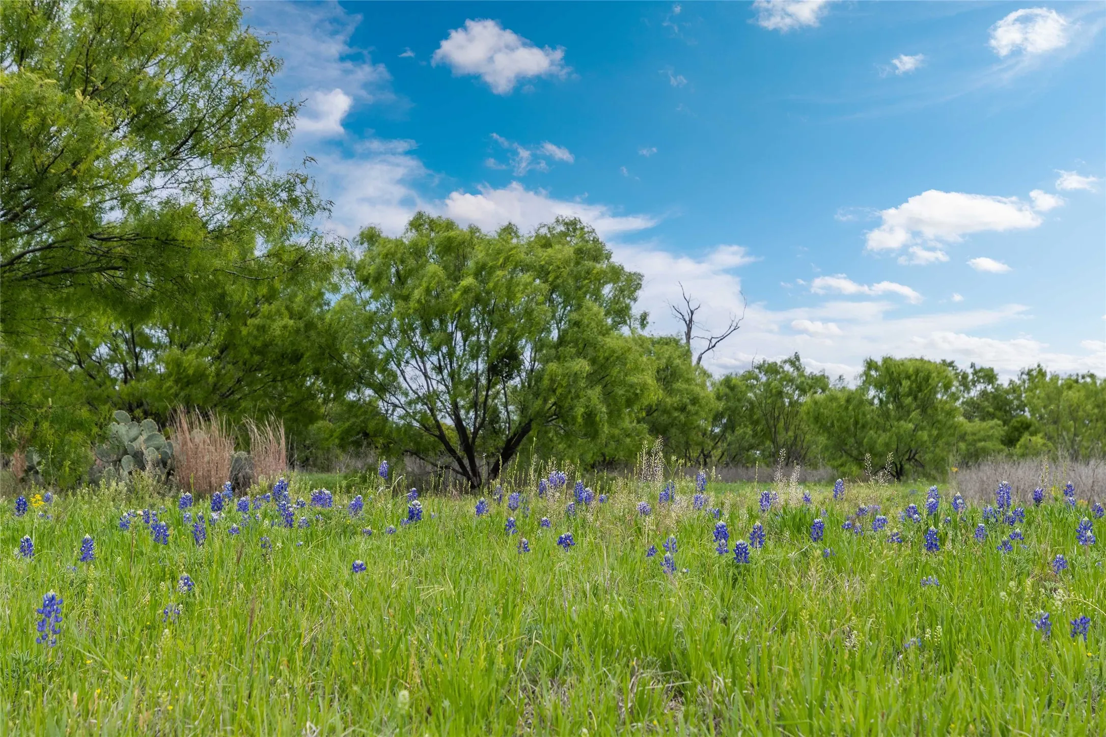 Single Family Residence For Sale in Brown County , 10150 HWY 67, Bangs, Texas 76823, 2 Bedroom, 2 Bathroom, 2 Garage spaces, 2,000 Sqft, built in 2024, Preowned, mls#21232679, Real Estate Agent in Bangs, Homes For Sale in Brown county, Homes For Sale in Bangs, Realtor in Bangs Texas, Real Estate Brokerage Independent Realty Texas, Luminita Cordes Realtor