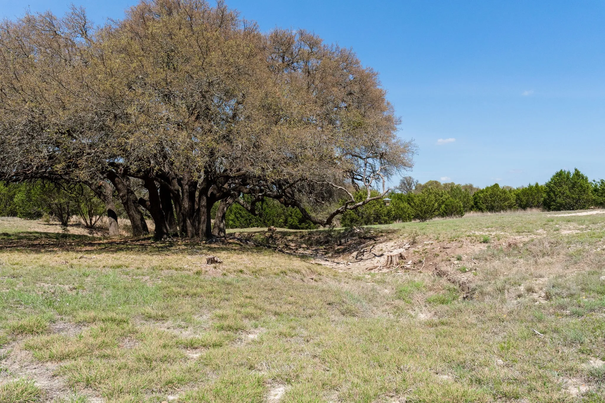 View of nature with rural landscape