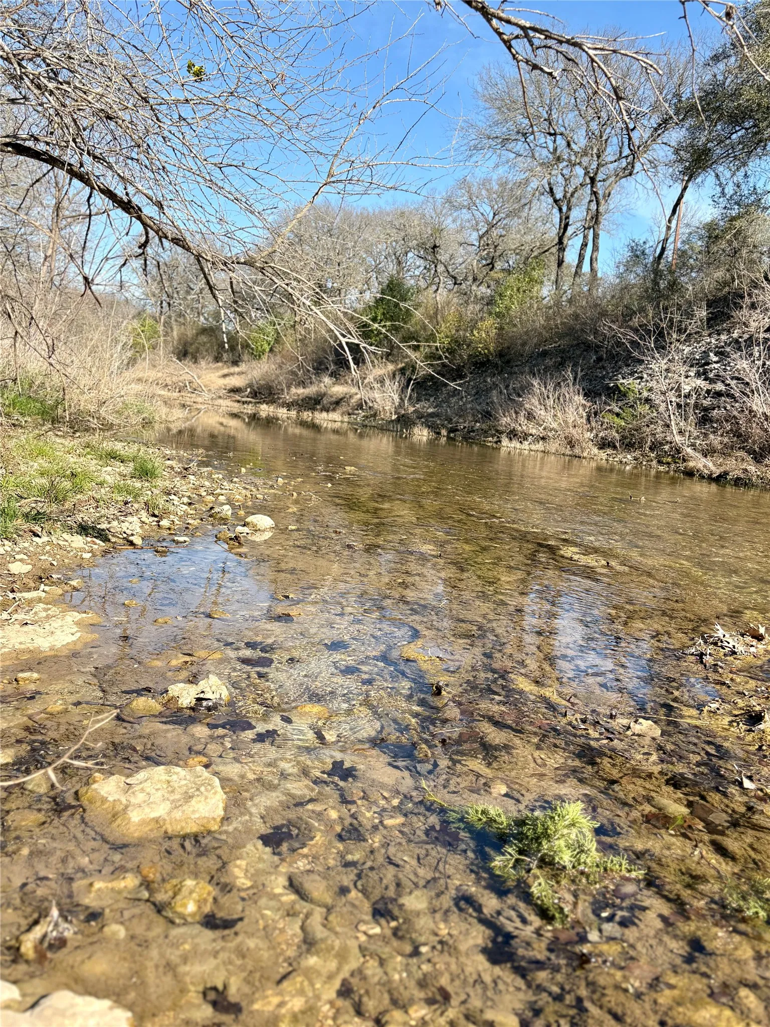 Unimproved Land For Sale in Mc Lennan County , 223 Oak Creek Circle, Mc Gregor, Texas 76657, 0, 0, Garage spaces, 0 Sqft, built in 0, mls#21230729, Real Estate Agent in Mc Gregor, Homes For Sale in Mc Lennan county, Homes For Sale in Mc Gregor, Realtor in Mc Gregor Texas, Real Estate Brokerage Independent Realty Texas, Luminita Cordes Realtor