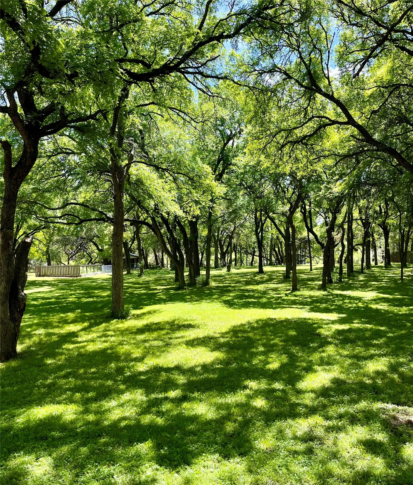 Unimproved Land For Sale in Mc Lennan County , 223 Oak Creek Circle, Mc Gregor, Texas 76657, 0, 0, Garage spaces, 0 Sqft, built in 0, mls#21230729, Real Estate Agent in Mc Gregor, Homes For Sale in Mc Lennan county, Homes For Sale in Mc Gregor, Realtor in Mc Gregor Texas, Real Estate Brokerage Independent Realty Texas, Luminita Cordes Realtor