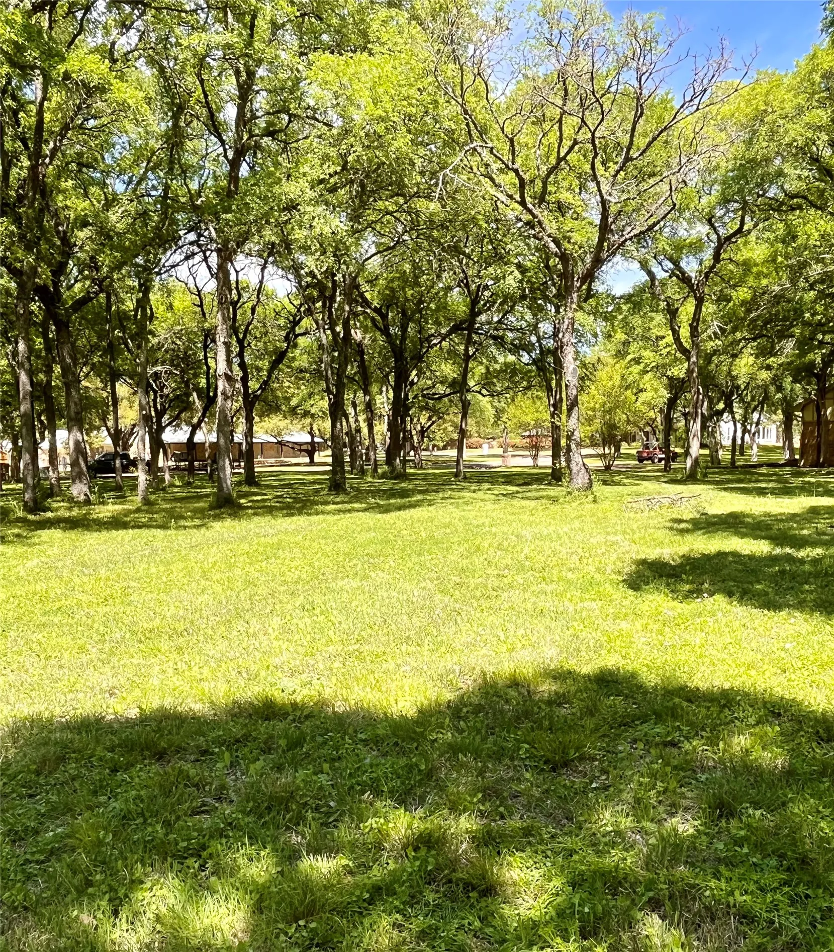 Unimproved Land For Sale in Mc Lennan County , 223 Oak Creek Circle, Mc Gregor, Texas 76657, 0, 0, Garage spaces, 0 Sqft, built in 0, mls#21230729, Real Estate Agent in Mc Gregor, Homes For Sale in Mc Lennan county, Homes For Sale in Mc Gregor, Realtor in Mc Gregor Texas, Real Estate Brokerage Independent Realty Texas, Luminita Cordes Realtor