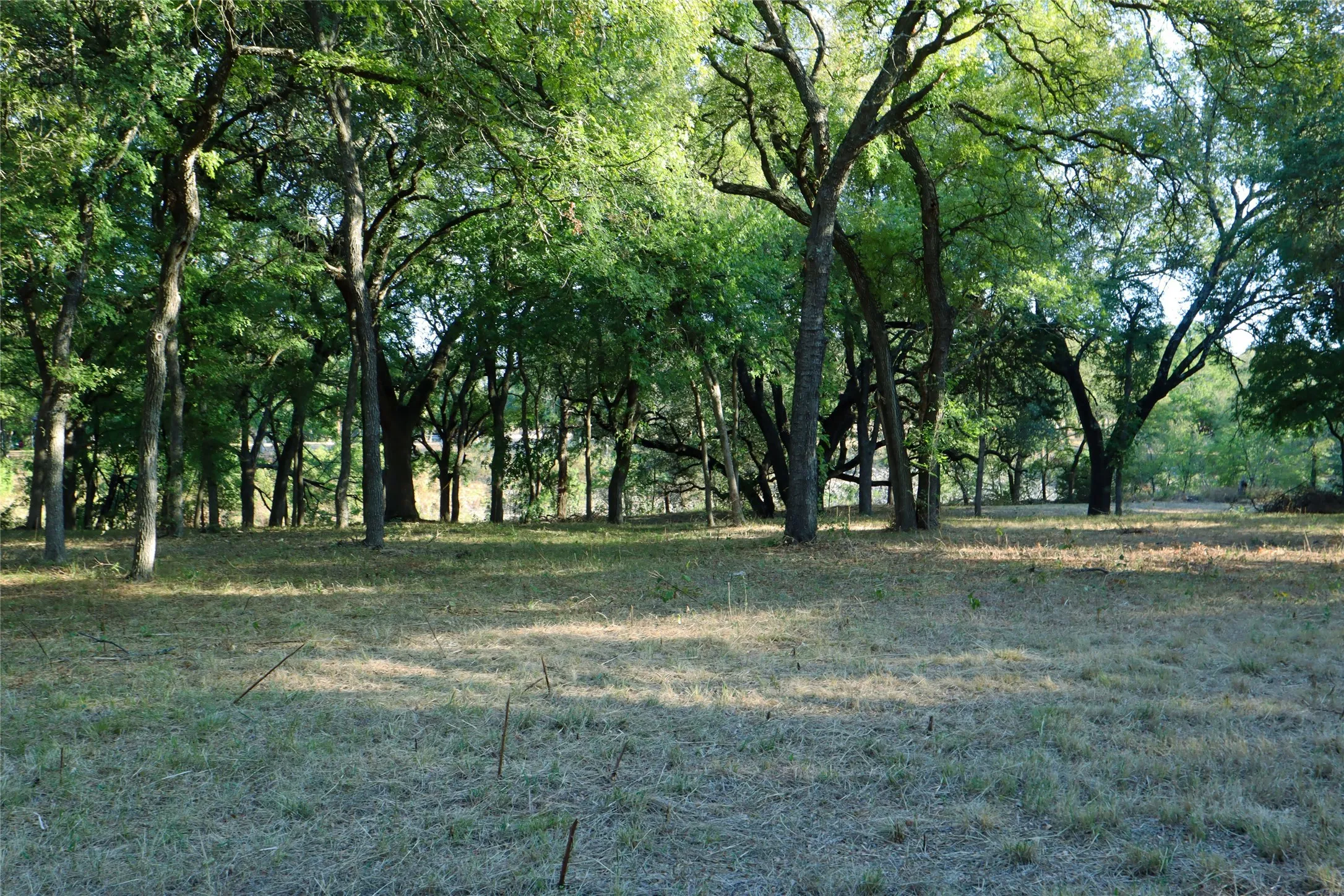 Unimproved Land For Sale in Mc Lennan County , 223 Oak Creek Circle, Mc Gregor, Texas 76657, 0, 0, Garage spaces, 0 Sqft, built in 0, mls#21230729, Real Estate Agent in Mc Gregor, Homes For Sale in Mc Lennan county, Homes For Sale in Mc Gregor, Realtor in Mc Gregor Texas, Real Estate Brokerage Independent Realty Texas, Luminita Cordes Realtor