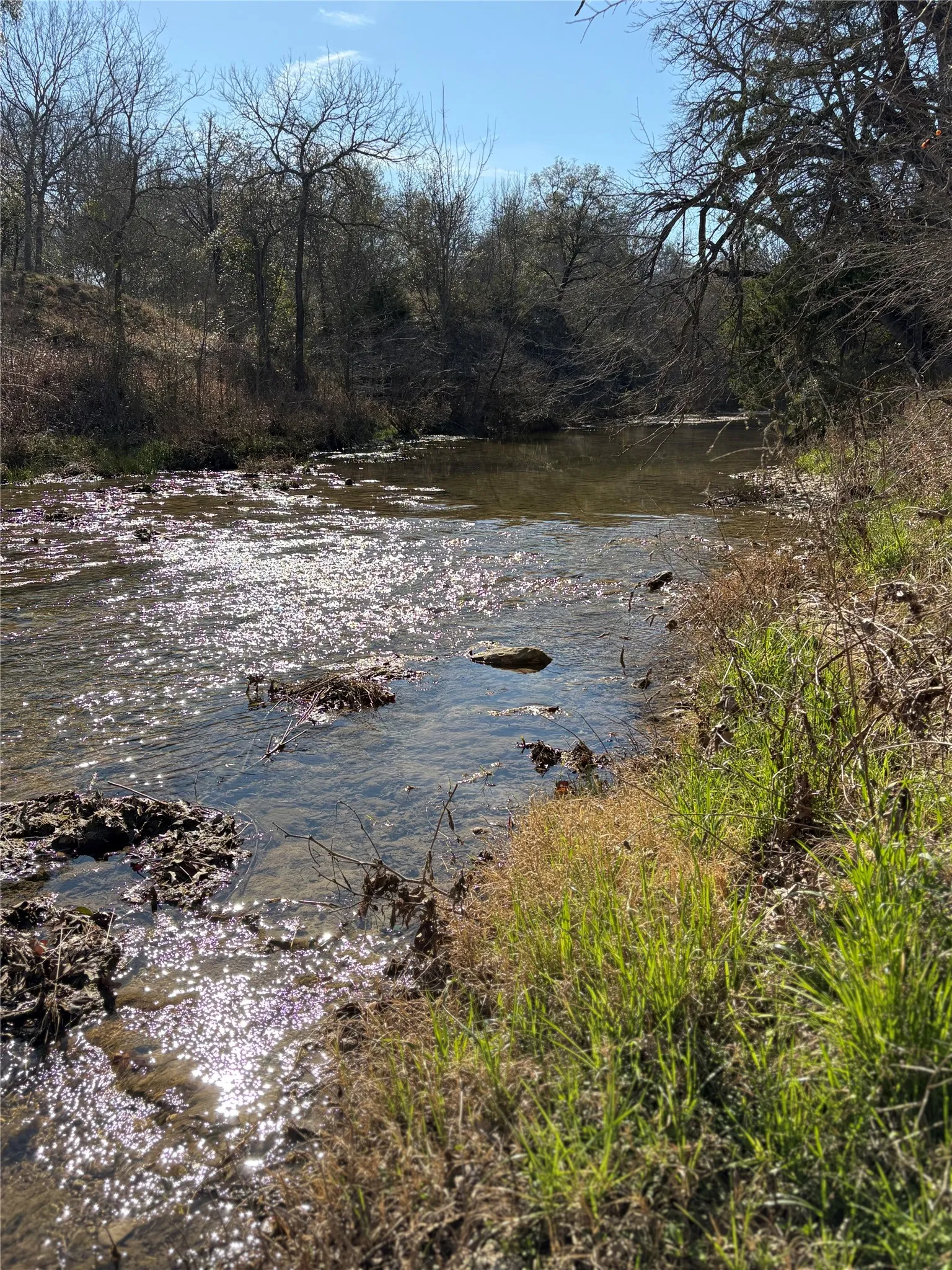 Unimproved Land For Sale in Mc Lennan County , 223 Oak Creek Circle, Mc Gregor, Texas 76657, 0, 0, Garage spaces, 0 Sqft, built in 0, mls#21230729, Real Estate Agent in Mc Gregor, Homes For Sale in Mc Lennan county, Homes For Sale in Mc Gregor, Realtor in Mc Gregor Texas, Real Estate Brokerage Independent Realty Texas, Luminita Cordes Realtor