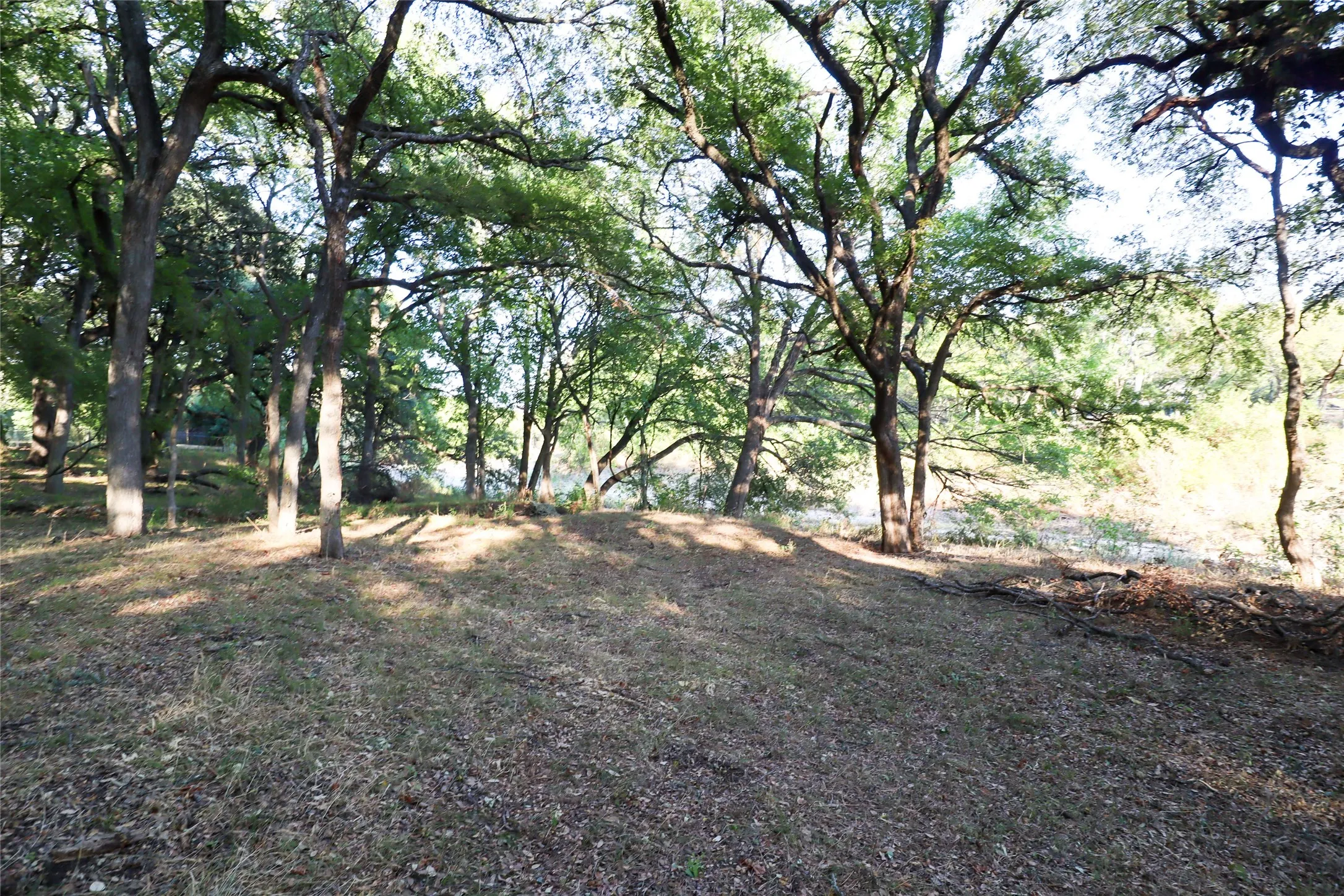 Unimproved Land For Sale in Mc Lennan County , 223 Oak Creek Circle, Mc Gregor, Texas 76657, 0, 0, Garage spaces, 0 Sqft, built in 0, mls#21230729, Real Estate Agent in Mc Gregor, Homes For Sale in Mc Lennan county, Homes For Sale in Mc Gregor, Realtor in Mc Gregor Texas, Real Estate Brokerage Independent Realty Texas, Luminita Cordes Realtor