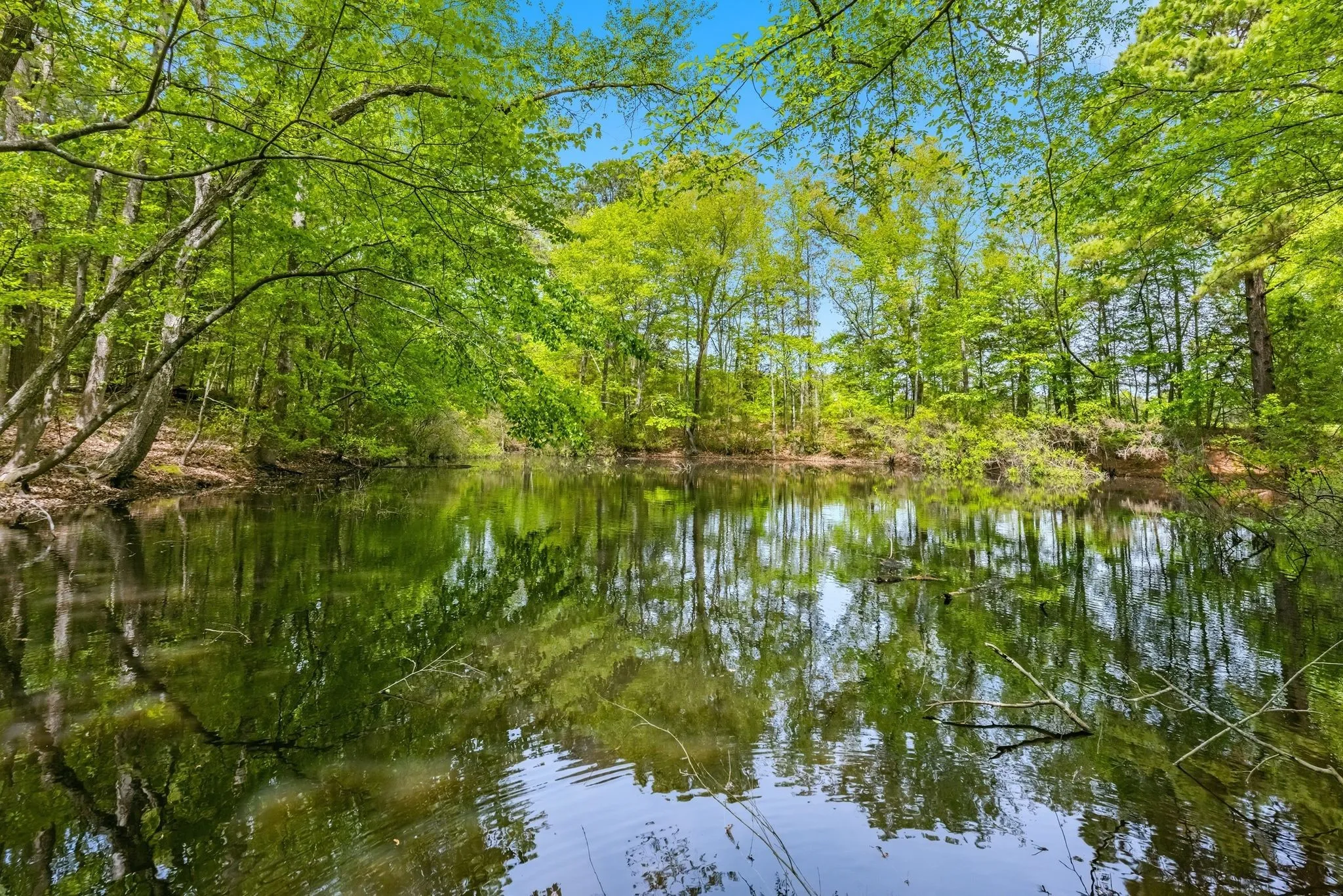 Farm For Sale in Camp County , 166 CR 2112, Pittsburg, Texas 75686, 5 Bedroom, 4 Bathroom, 2 Garage spaces, 4,123 Sqft, built in 1985, Preowned, mls#21232840, Real Estate Agent in Pittsburg, Homes For Sale in Camp county, Homes For Sale in Pittsburg, Realtor in Pittsburg Texas, Real Estate Brokerage Independent Realty Texas, Luminita Cordes Realtor