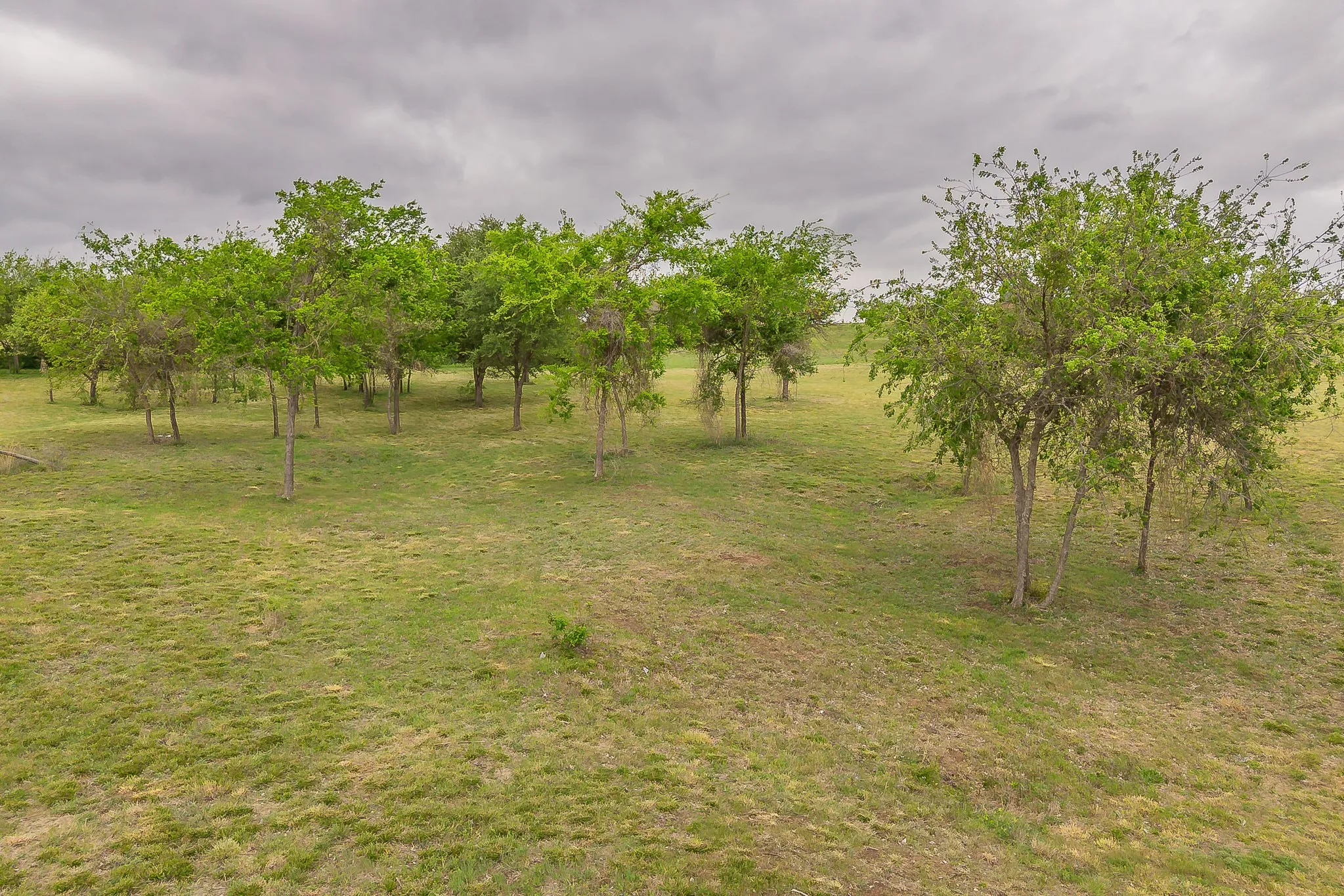 Unimproved Land For Sale in Parker County , 200 Trail Ridge, Weatherford, Texas 76087, 0, 0, Garage spaces, 0 Sqft, built in 0, mls#21232898, Real Estate Agent in Weatherford, Homes For Sale in Parker county, Homes For Sale in Weatherford, Realtor in Weatherford Texas, Real Estate Brokerage Independent Realty Texas, Luminita Cordes Realtor