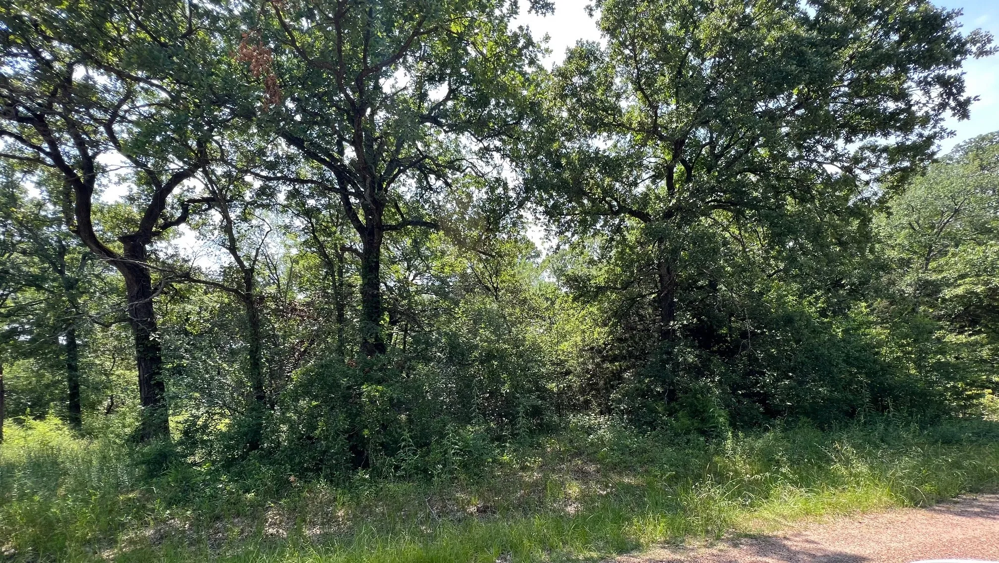 Image depicts the approximate location of the property and may not reflect exact boundaries.