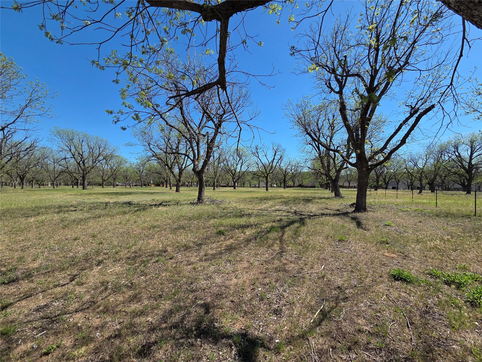 View halfway down the west side of the property.  Notice the fence to the paddock for the Pecan Stables to the right.