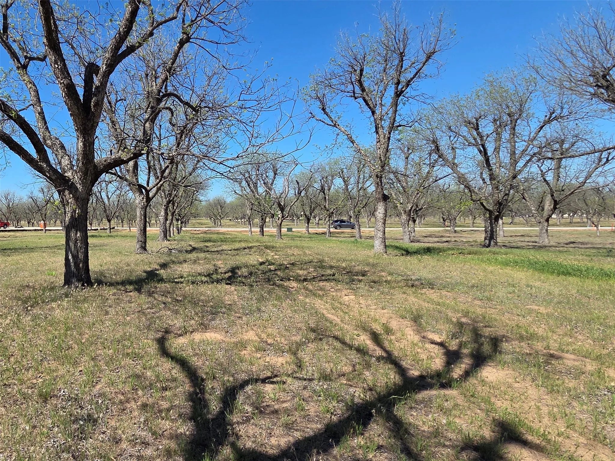 View from the middle of the east property line, towards the road.  The middle of the property is the high point, although the lot is relatively flat.