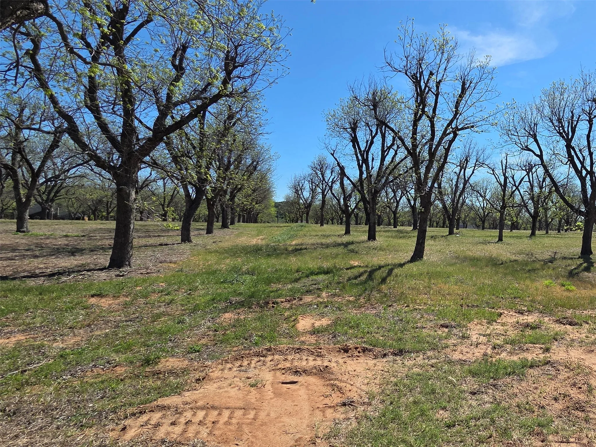 View from the NE corner, looking straight down the property line to the south.