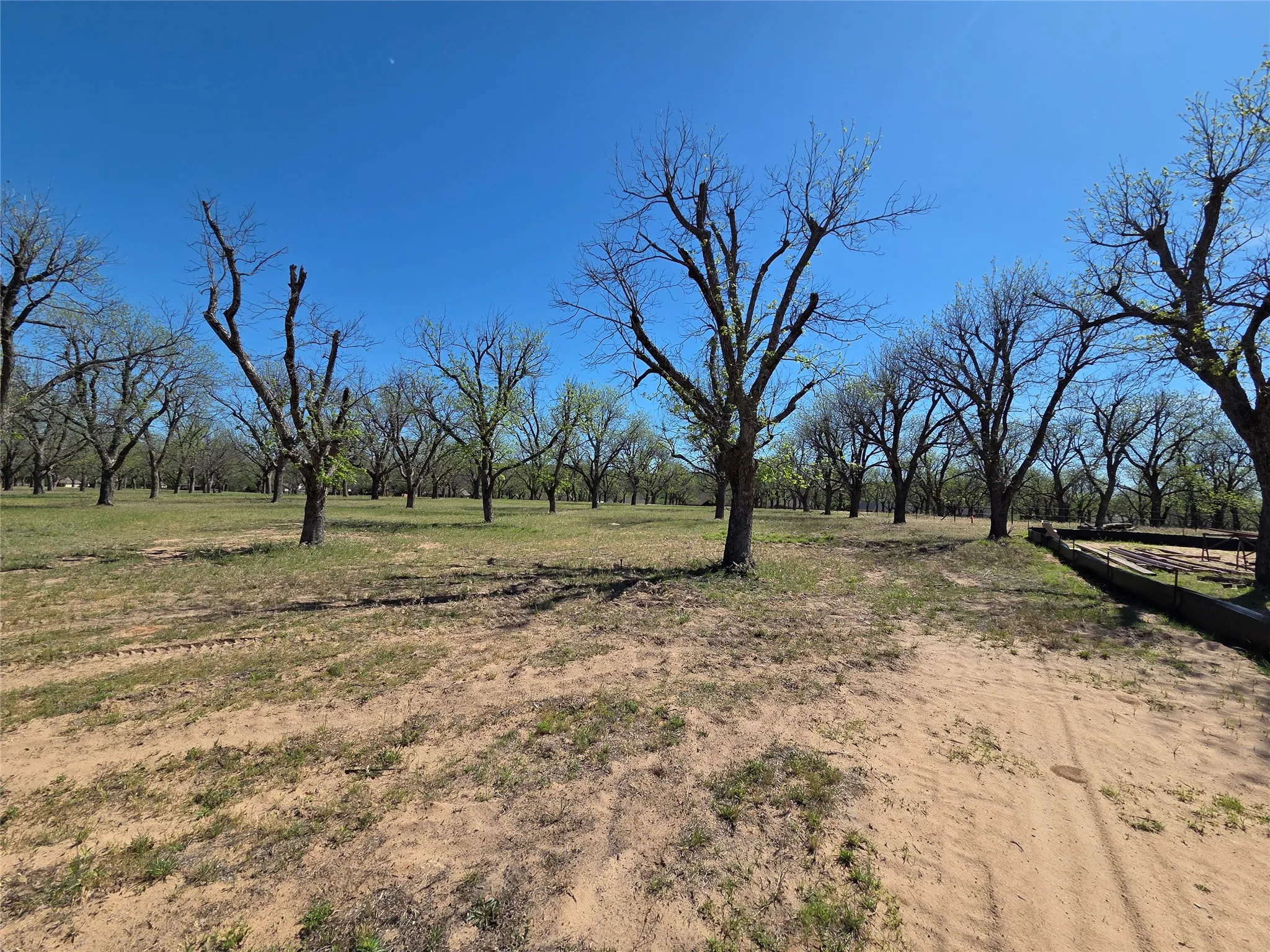 View from the NW corner, down the property line, looking south.