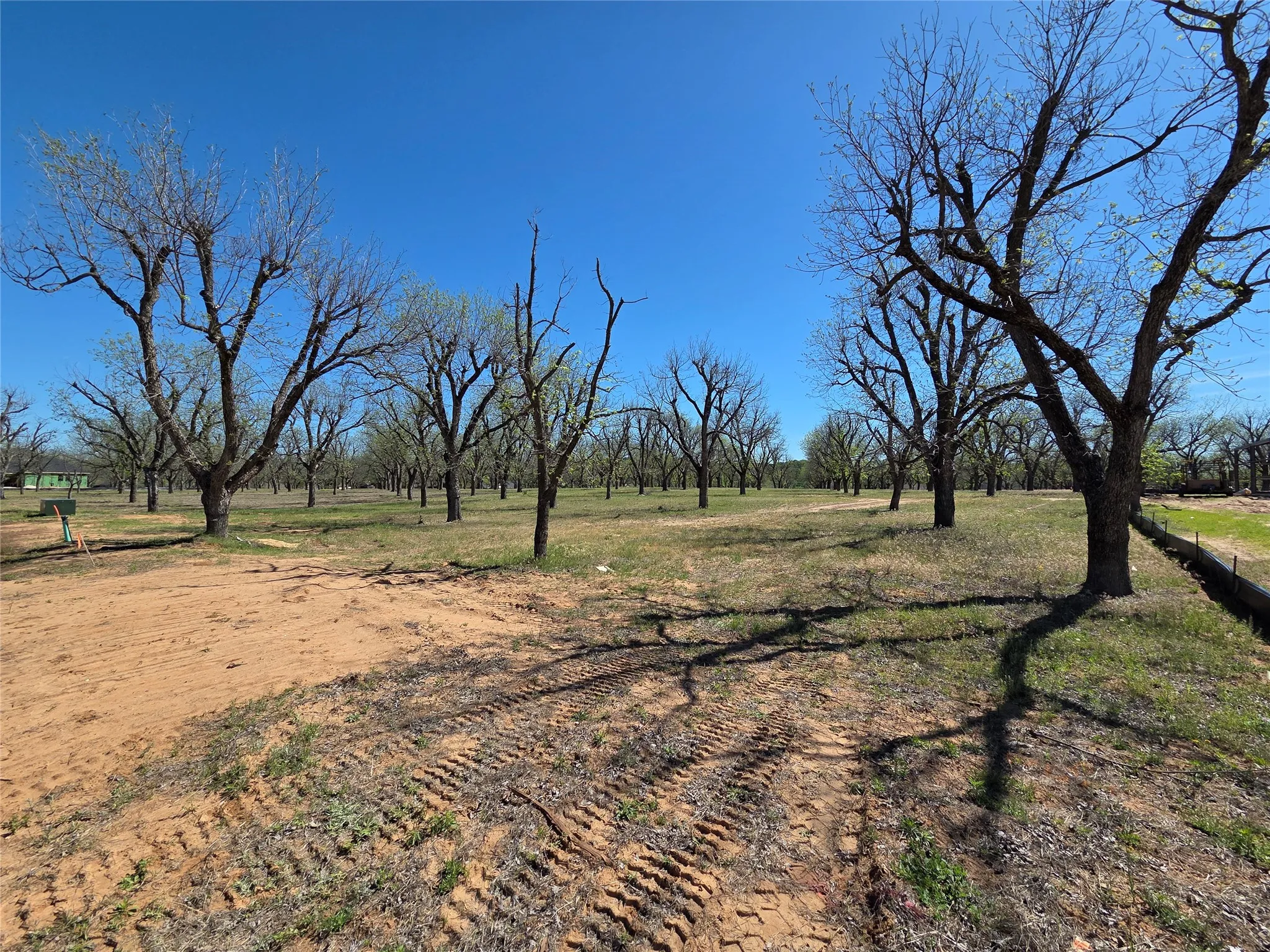 View from the NW corner.  (The front right corner.  Remainder of pics go counterclockwise around the edge of the property.)