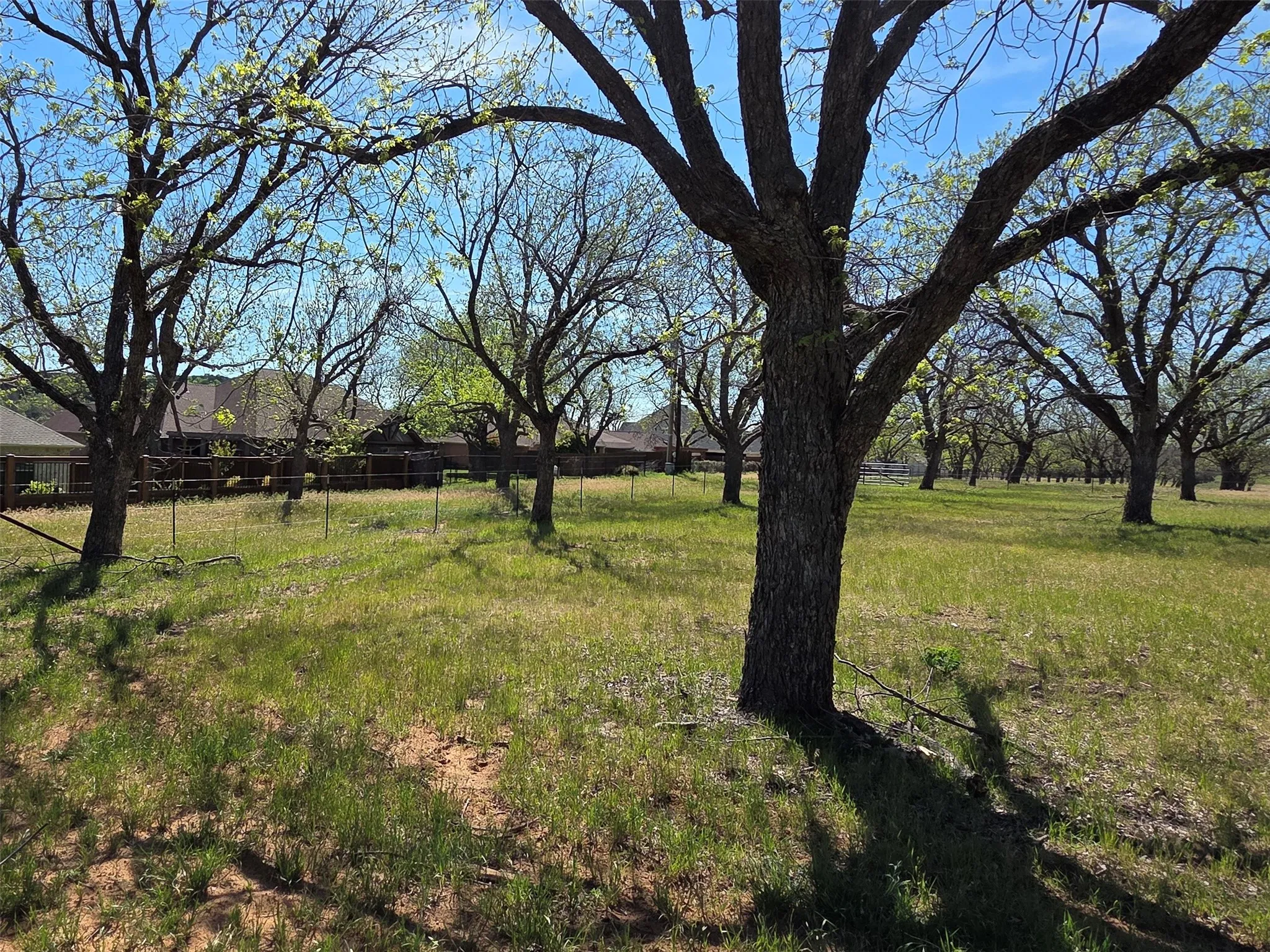 View from the SE corner of the property.  The fence for the equestrian trail is to the left.