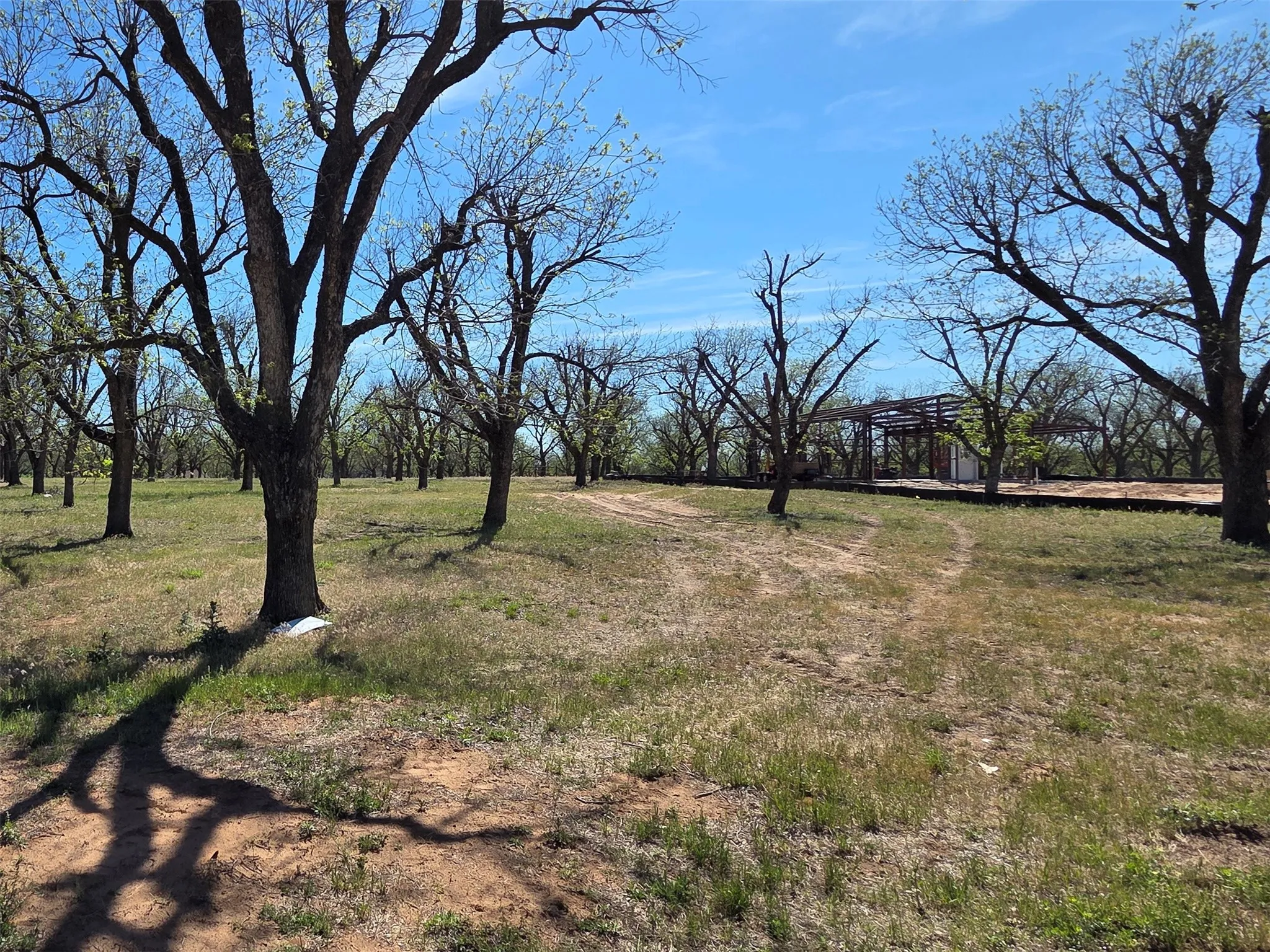View from the NE corner, near the road, looking back to the SW.  The structure in the back is the neighbors' barn.