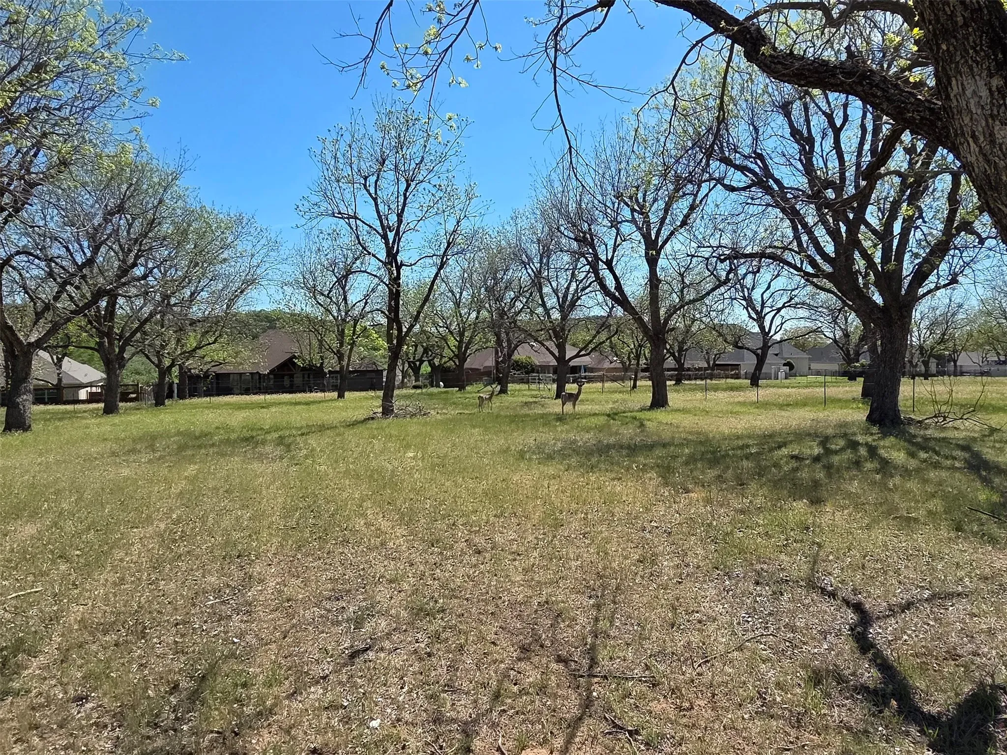 View from the middle of the west side, looking south.  The equestrian trail separates the houses from the property.  Paddock is to the right.