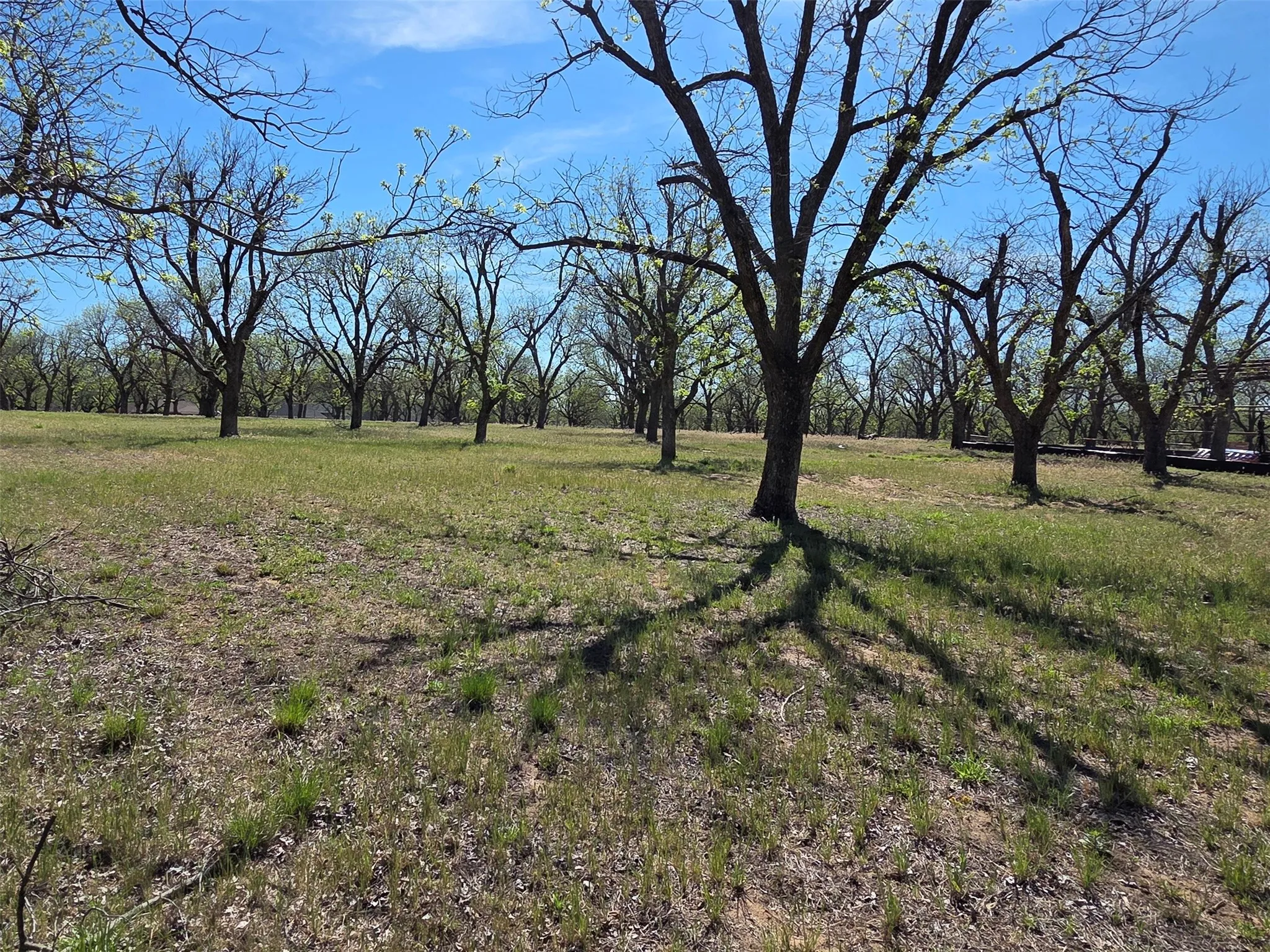 You can see the slight rise in the property from here.  This is the view from the east side of the property, about 100feet from the road.